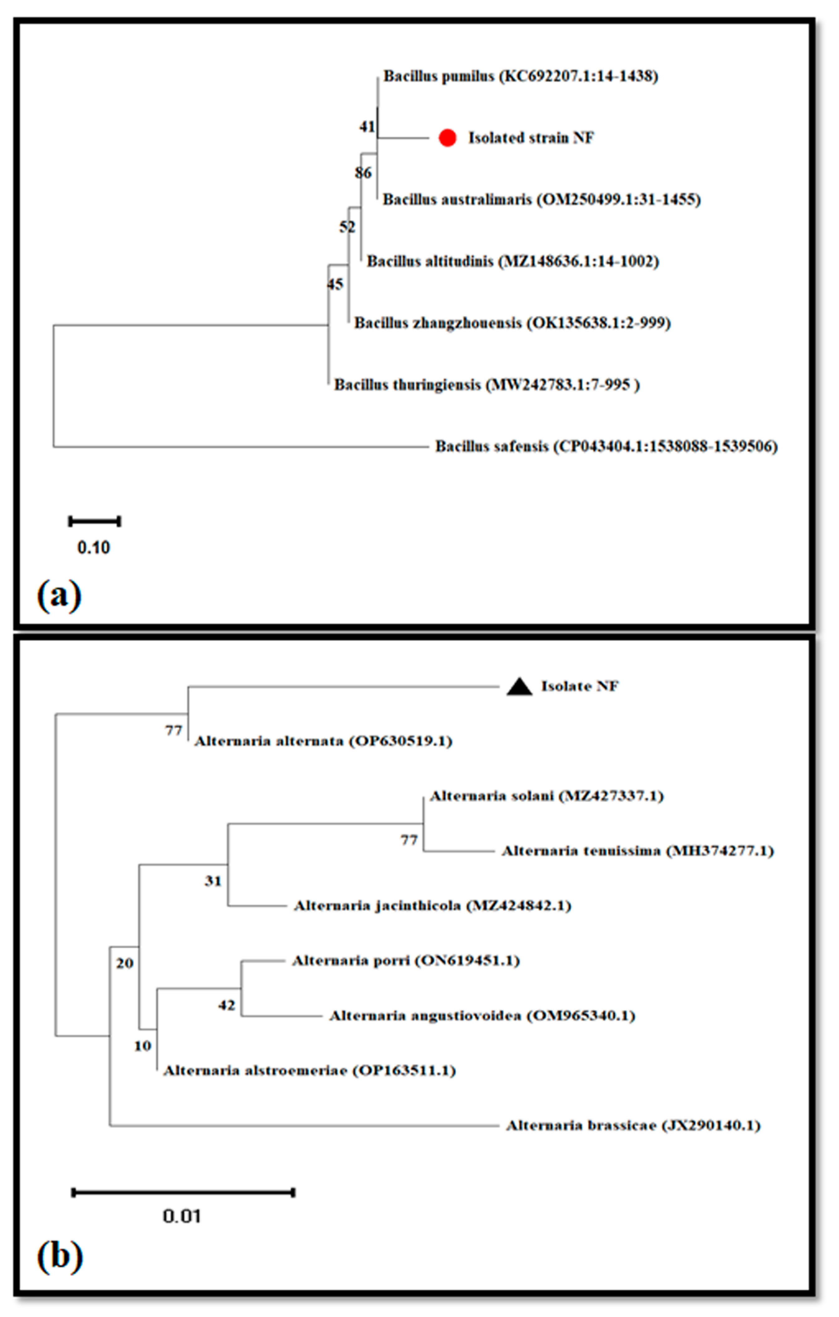 Molecules 28 03666 g003 Molecules 28 03666 g003