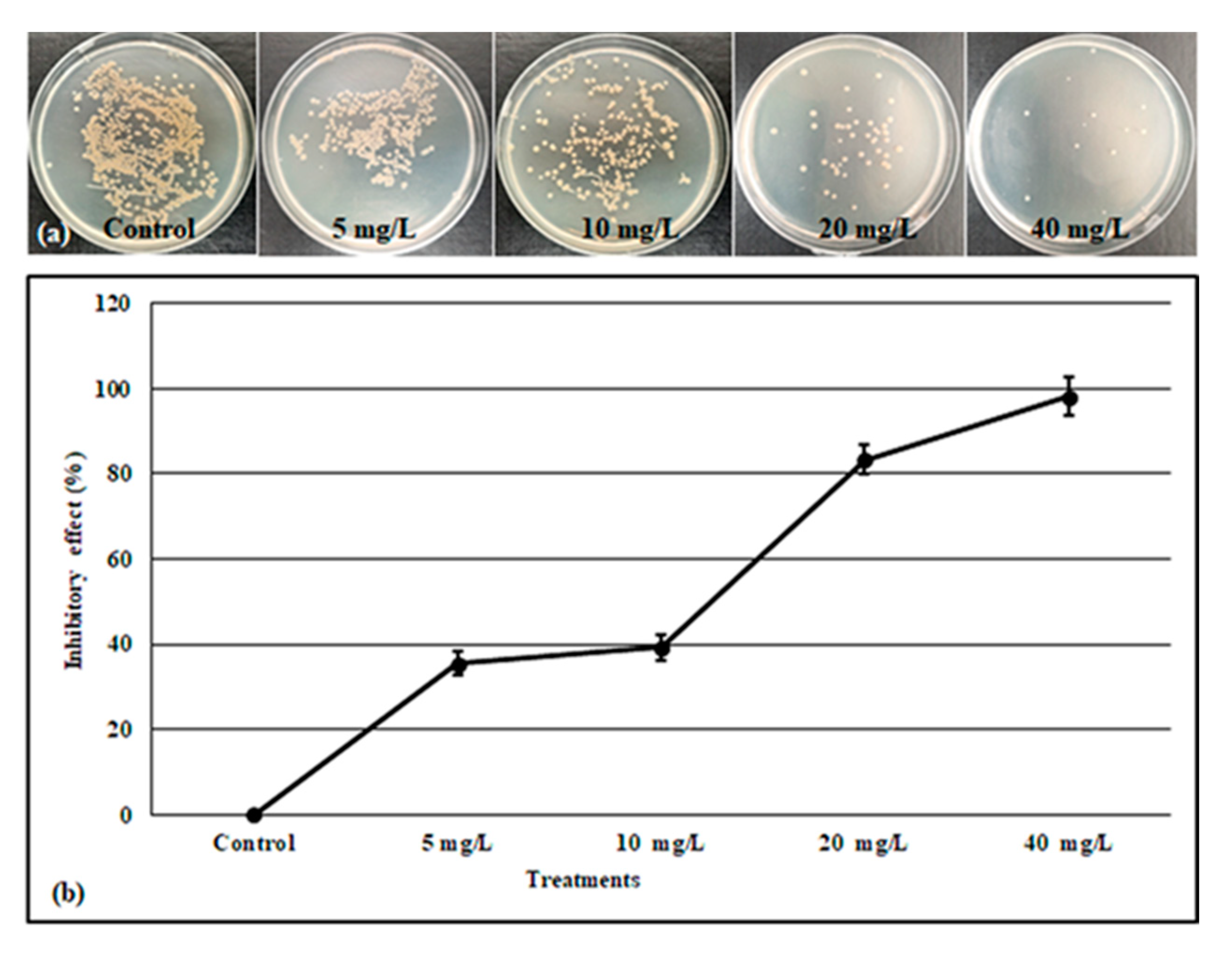 Molecules 28 03666 g005 Molecules 28 03666 g005