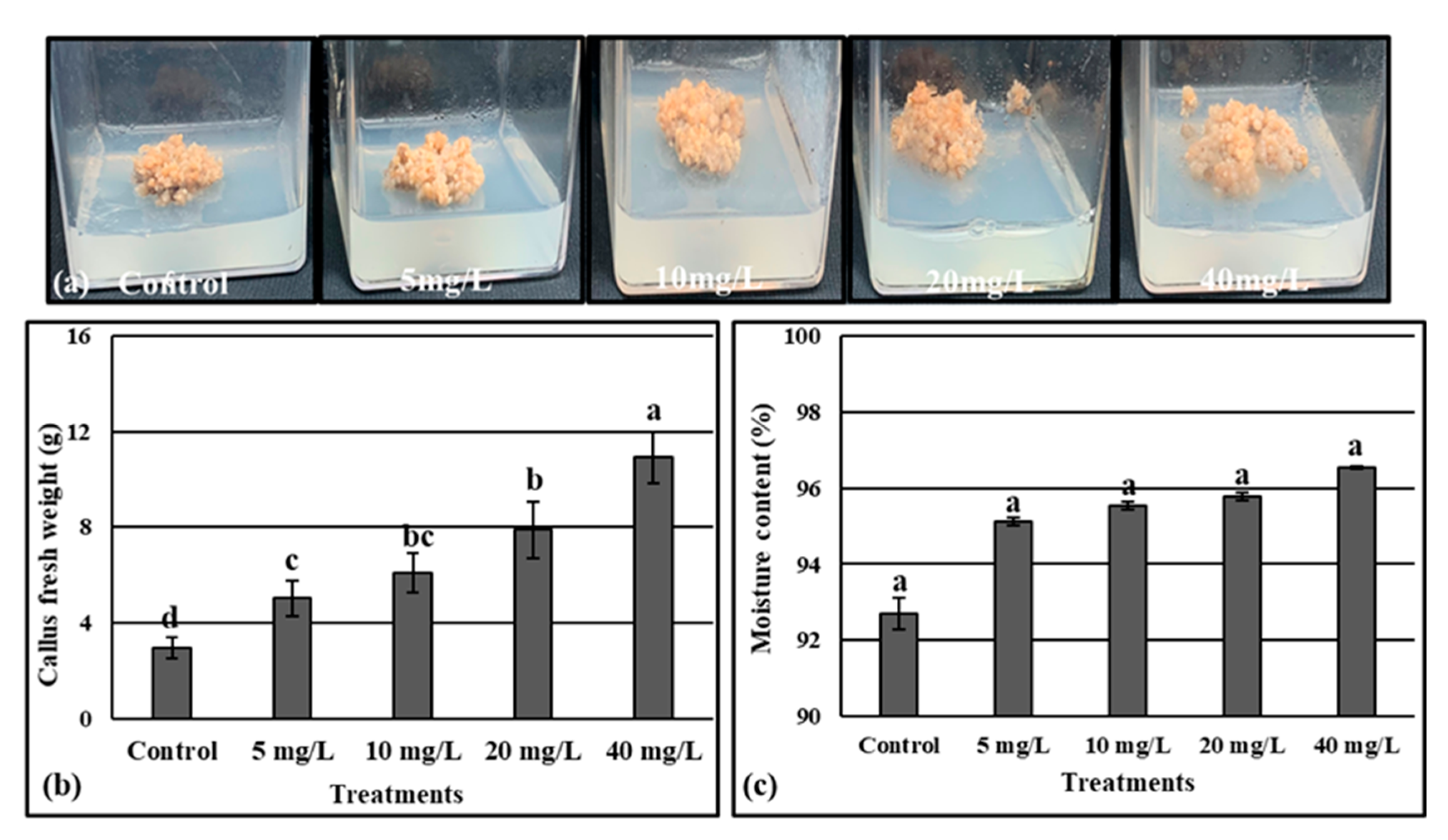 Molecules 28 03666 g006 Molecules 28 03666 g006