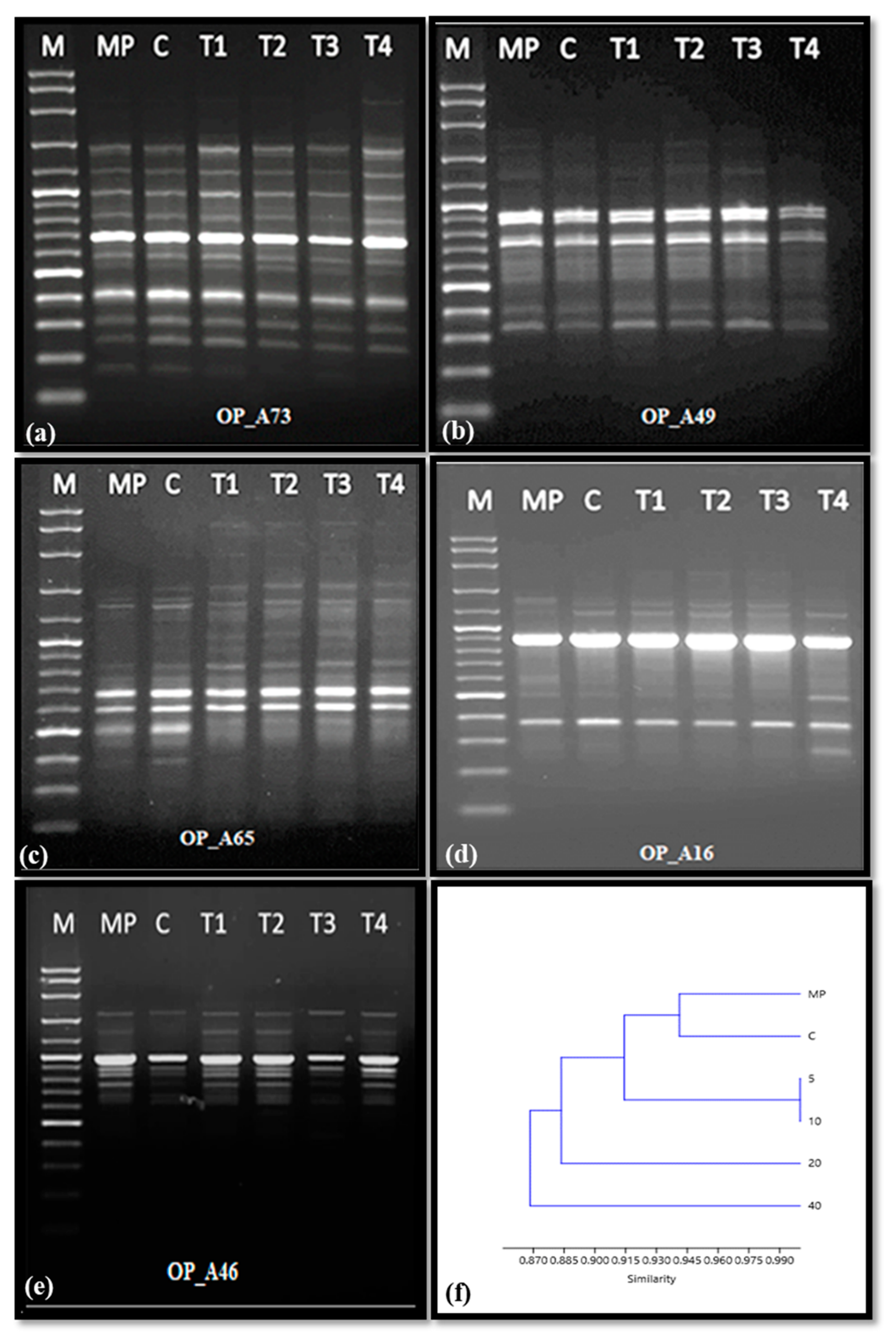 Molecules 28 03666 g007 Molecules 28 03666 g007