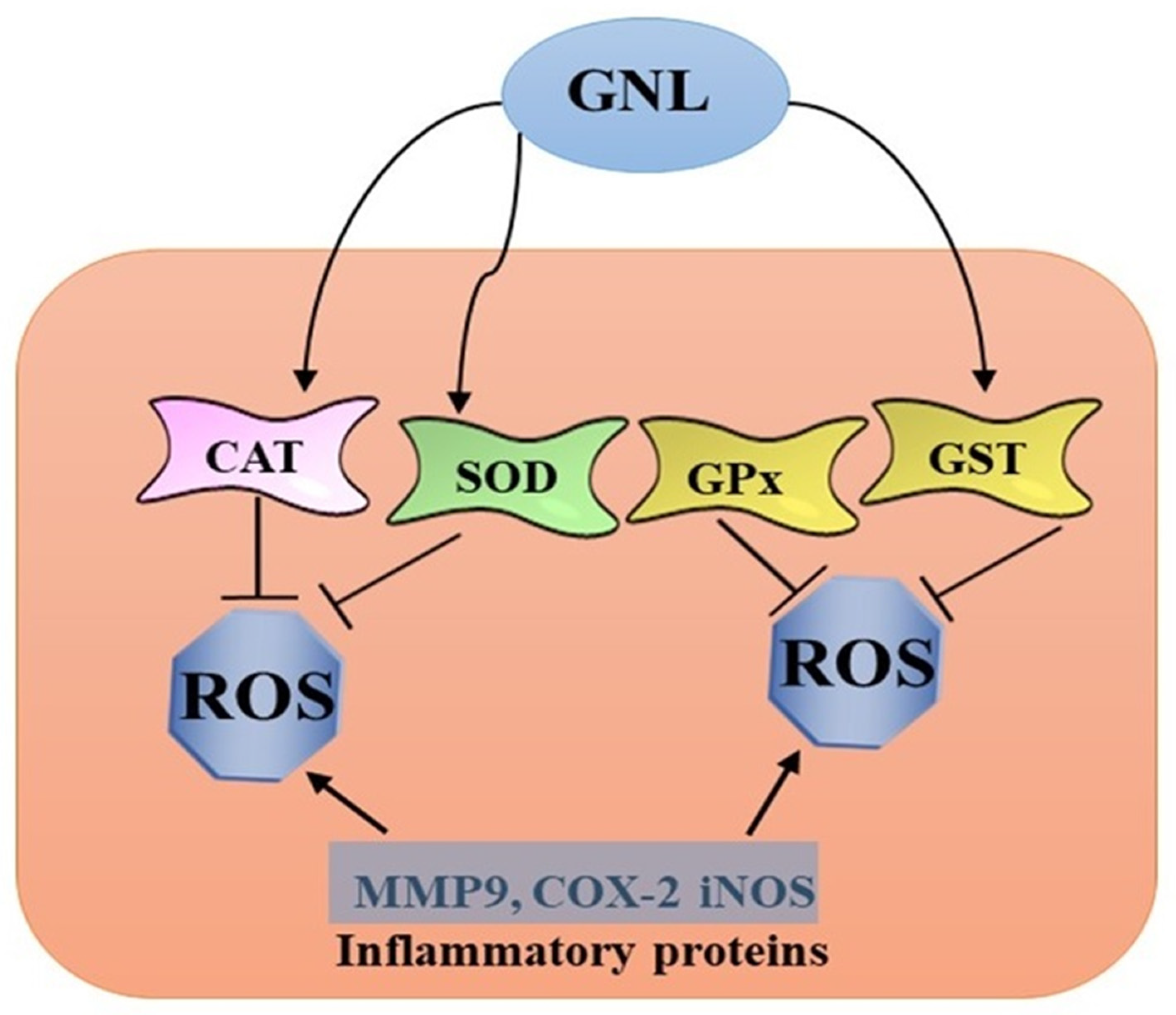Molecules 28 03669 g002