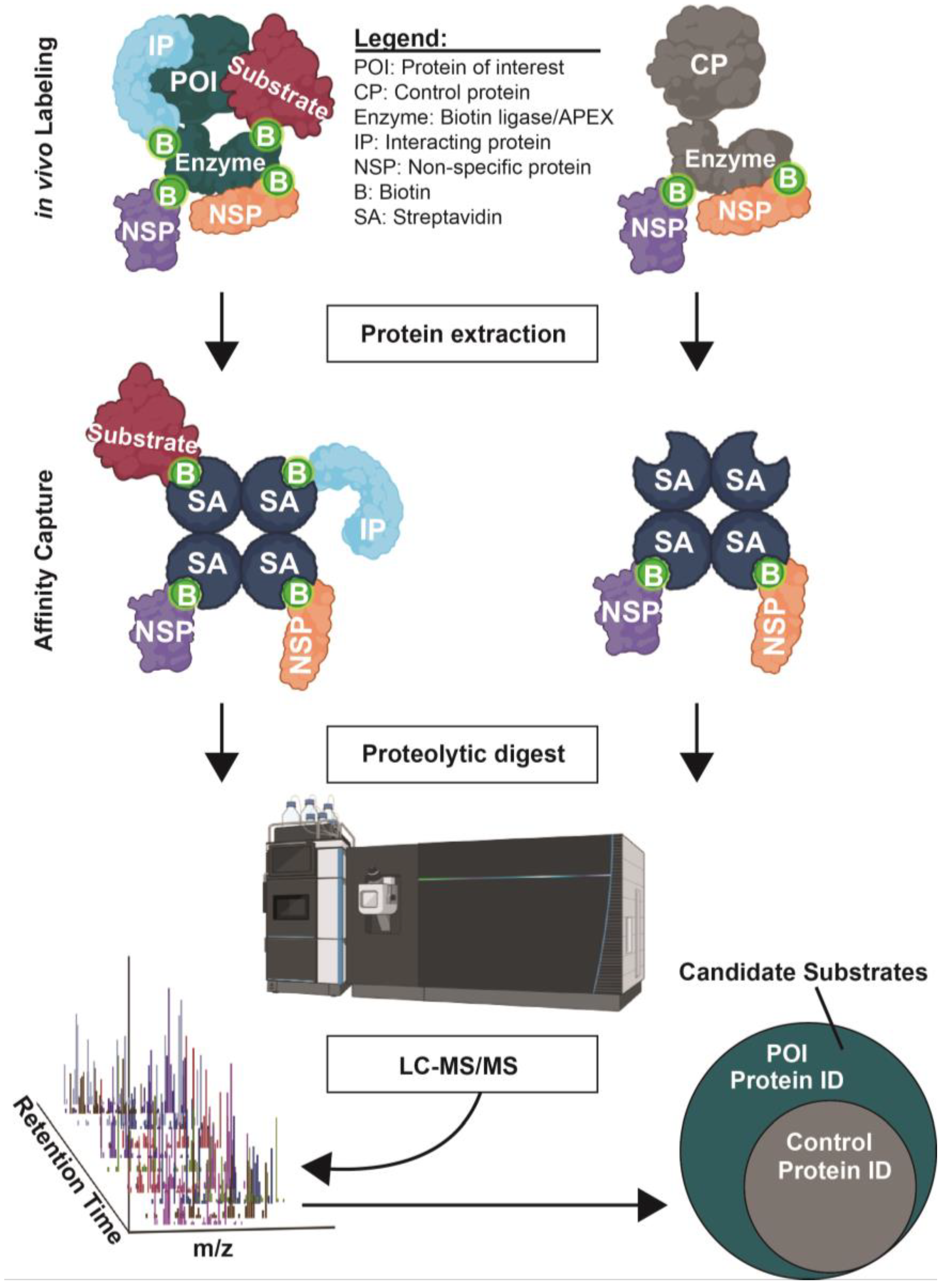 Molecules 28 03675 g003