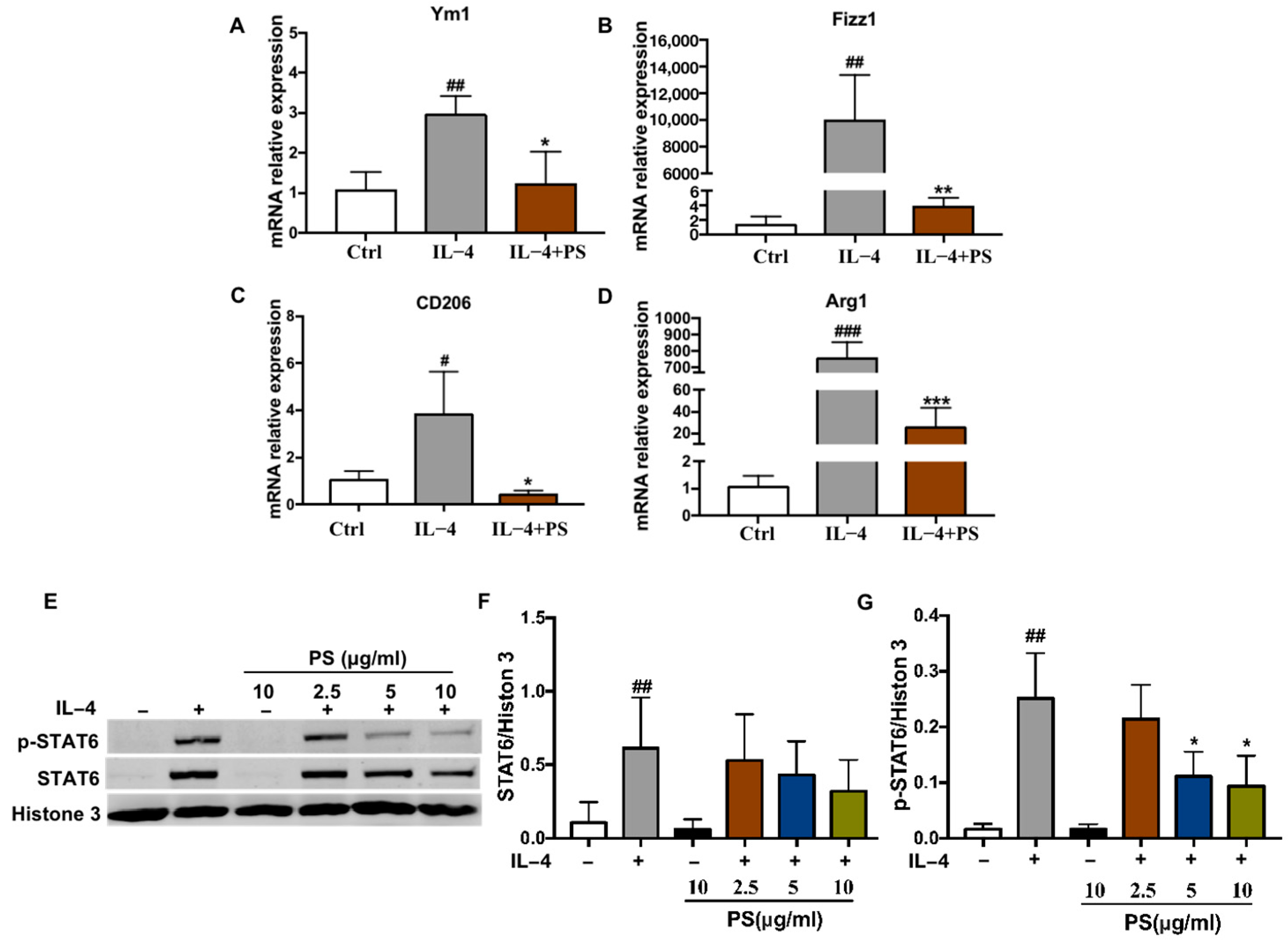 Molecules 28 03682 g001