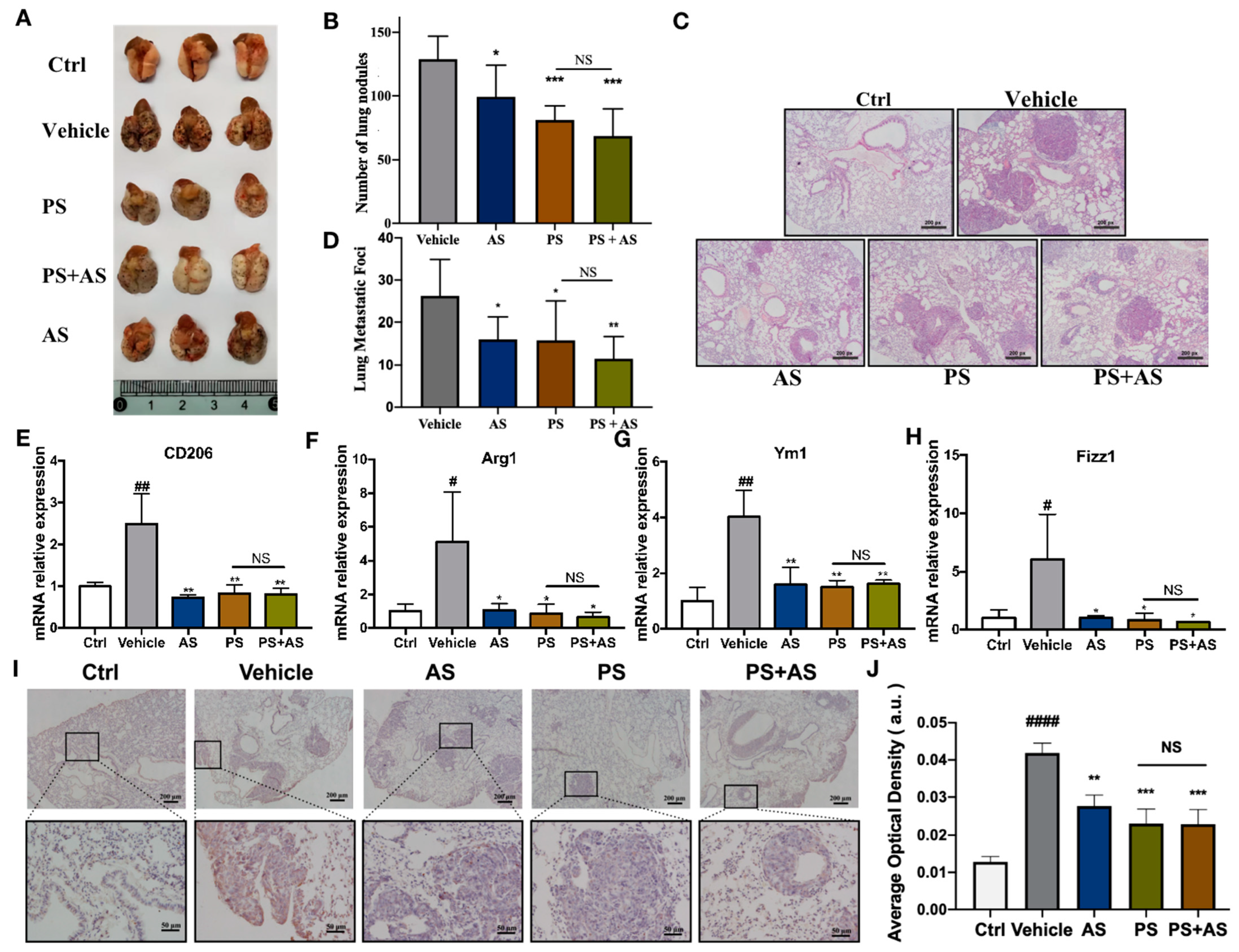 Molecules 28 03682 g004