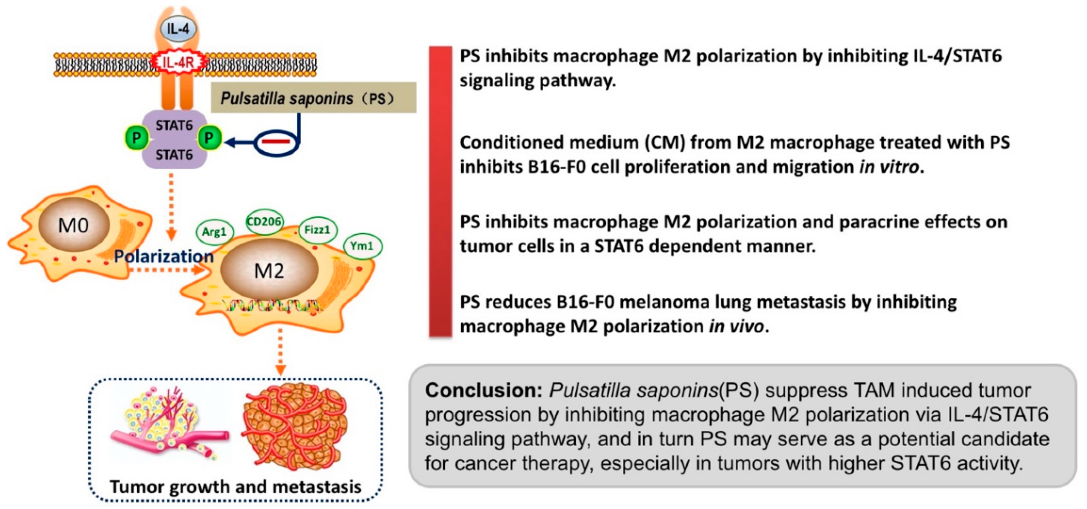 Molecules 28 03682 g005