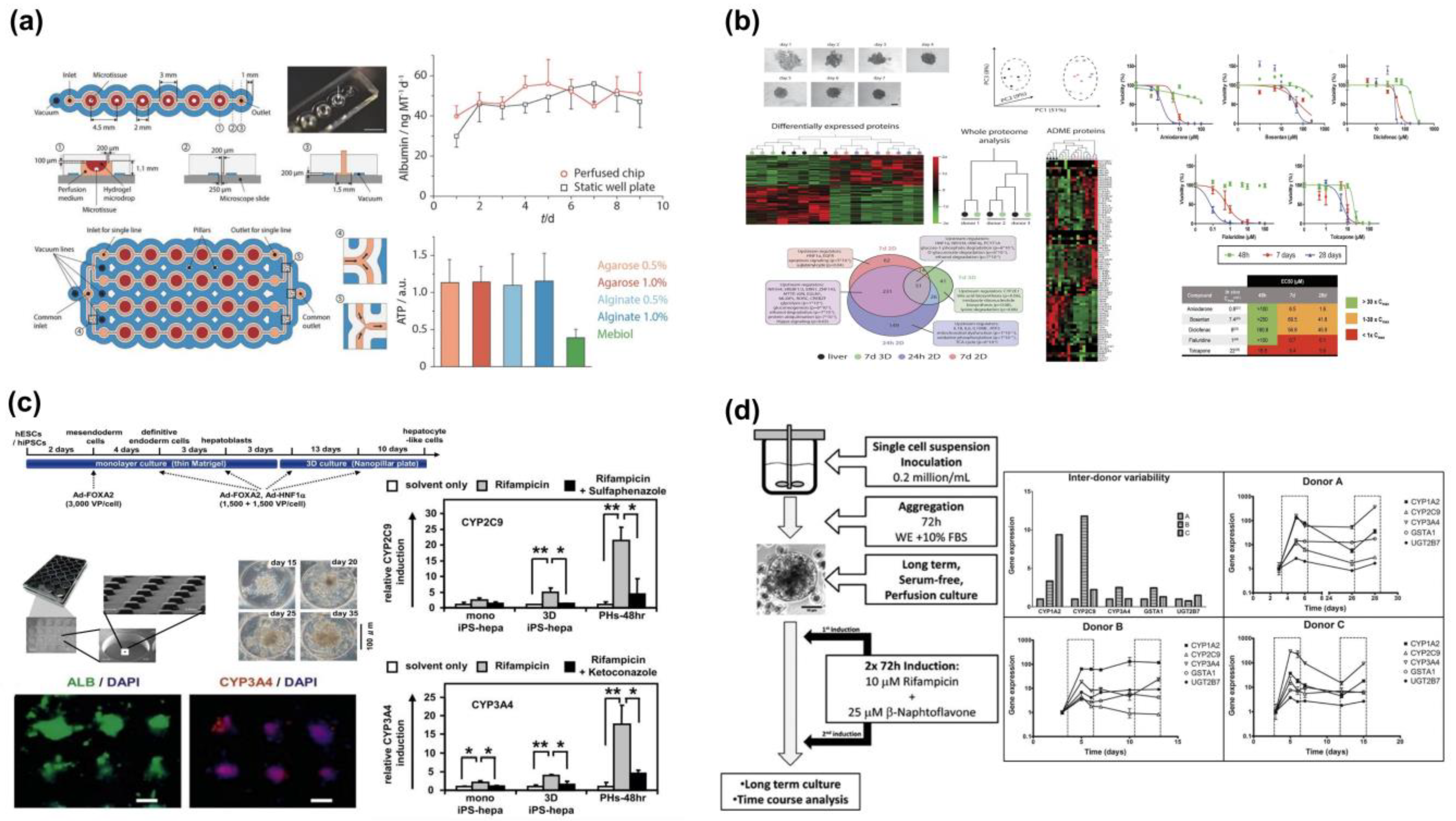 Molecules 28 03683 g003 Molecules 28 03683 g003