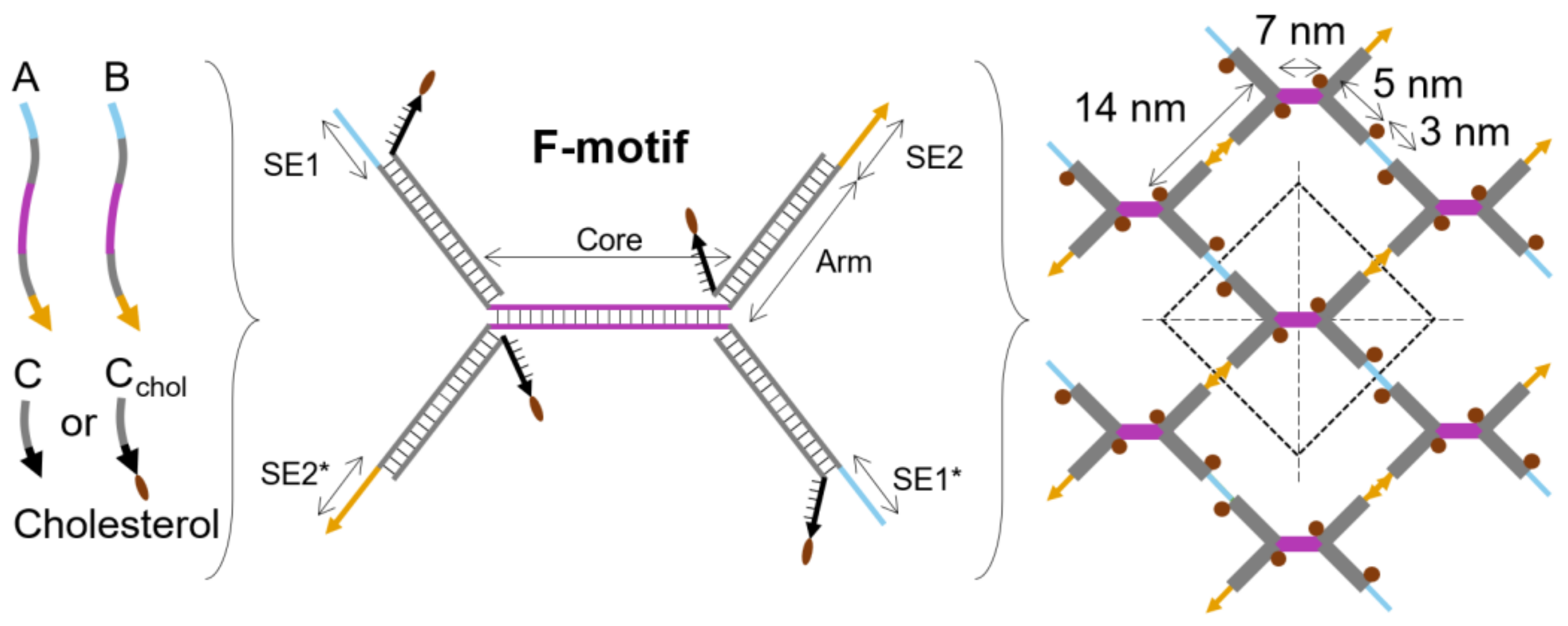 Molecules 28 03686 g001
