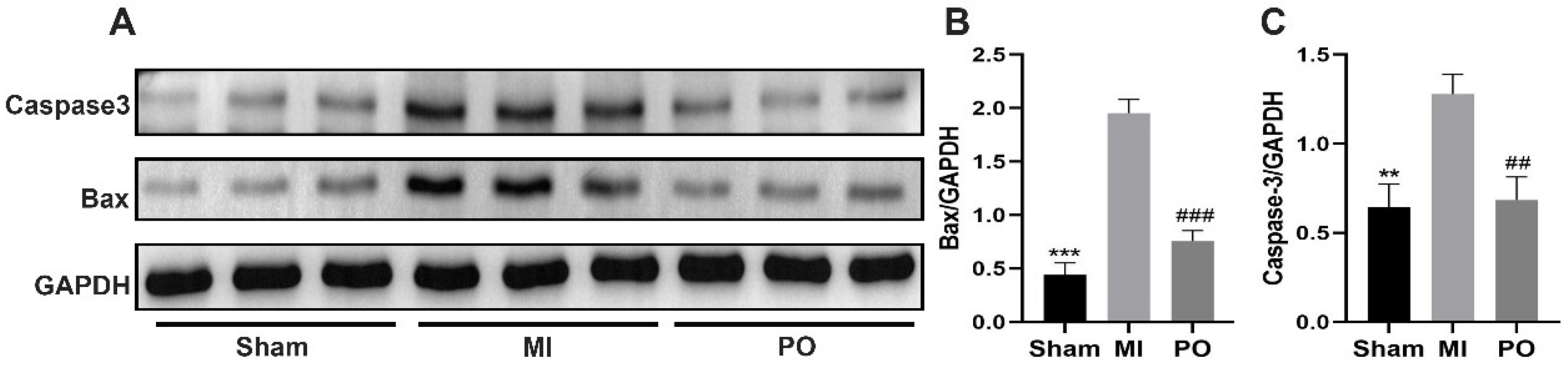 Molecules 28 03687 g004 Molecules 28 03687 g004