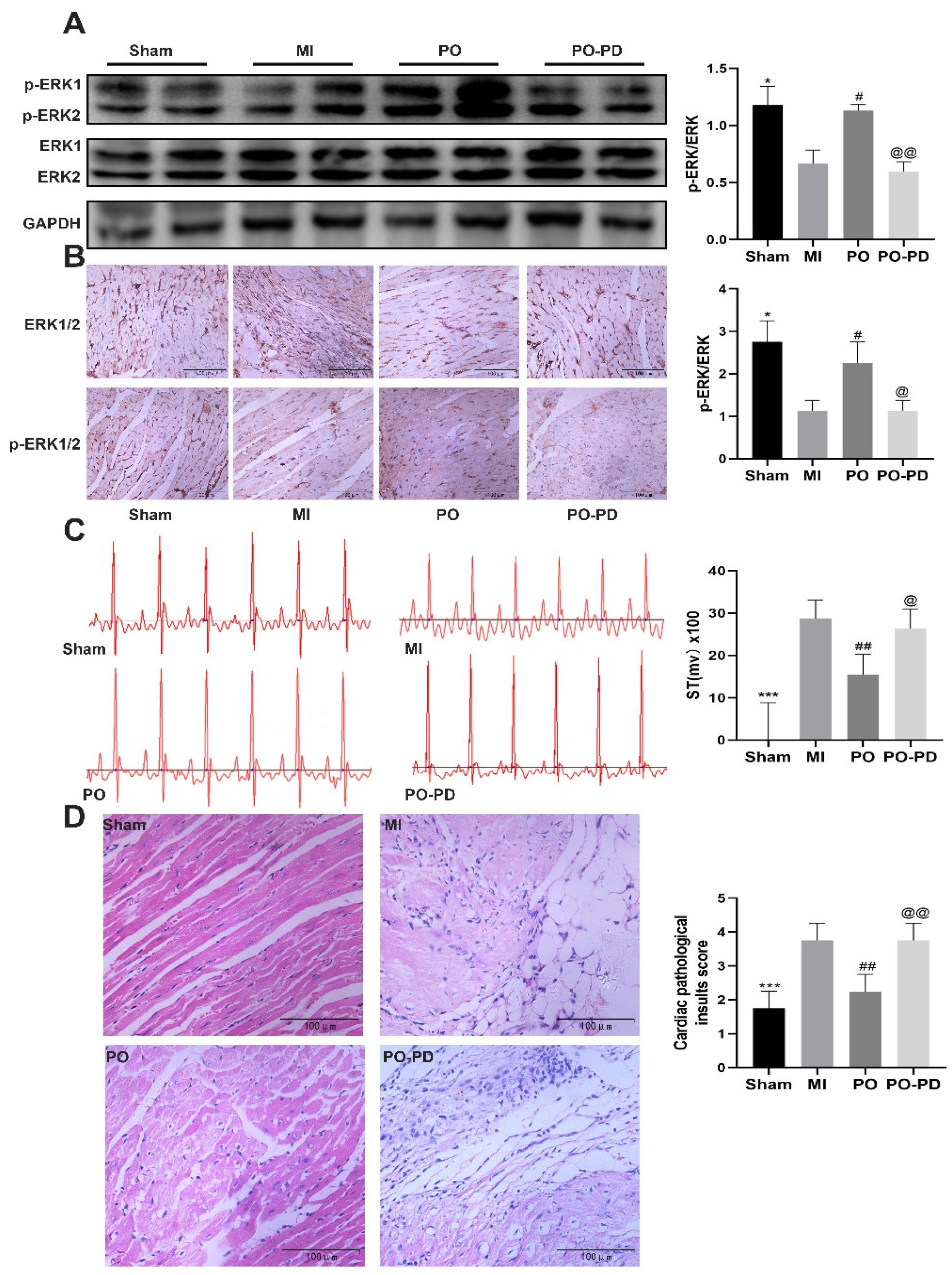 Molecules 28 03687 g006a Molecules 28 03687 g006a