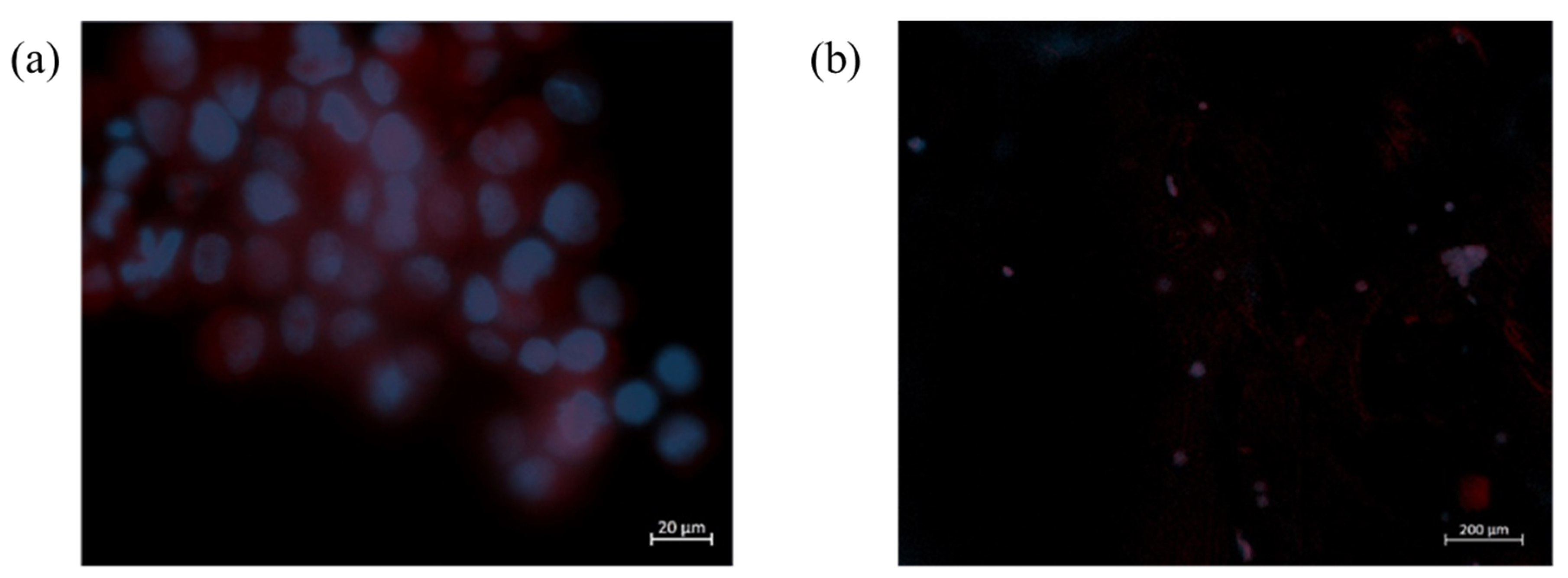 Molecules 28 03689 g007