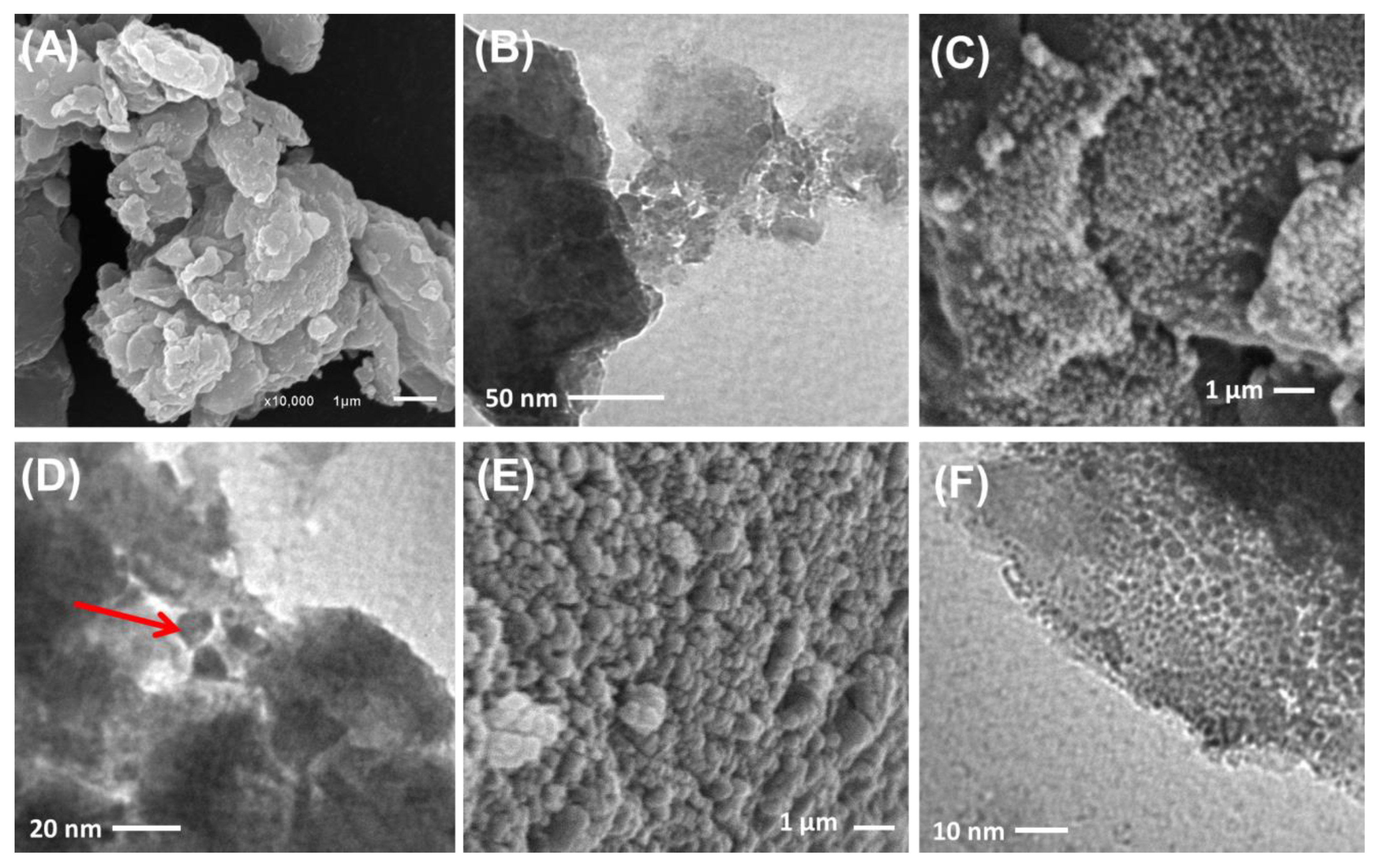 Molecules 28 03692 g004