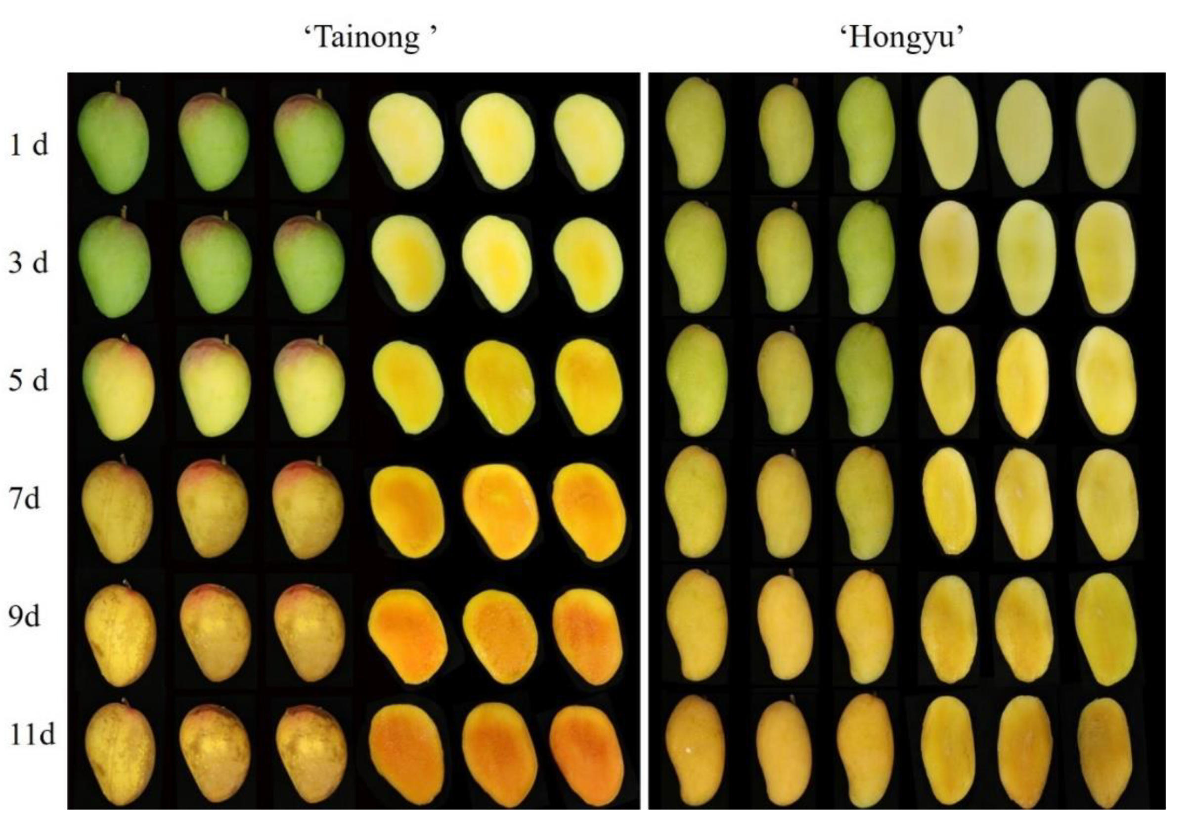 Molecules 28 03693 g002 Molecules 28 03693 g002
