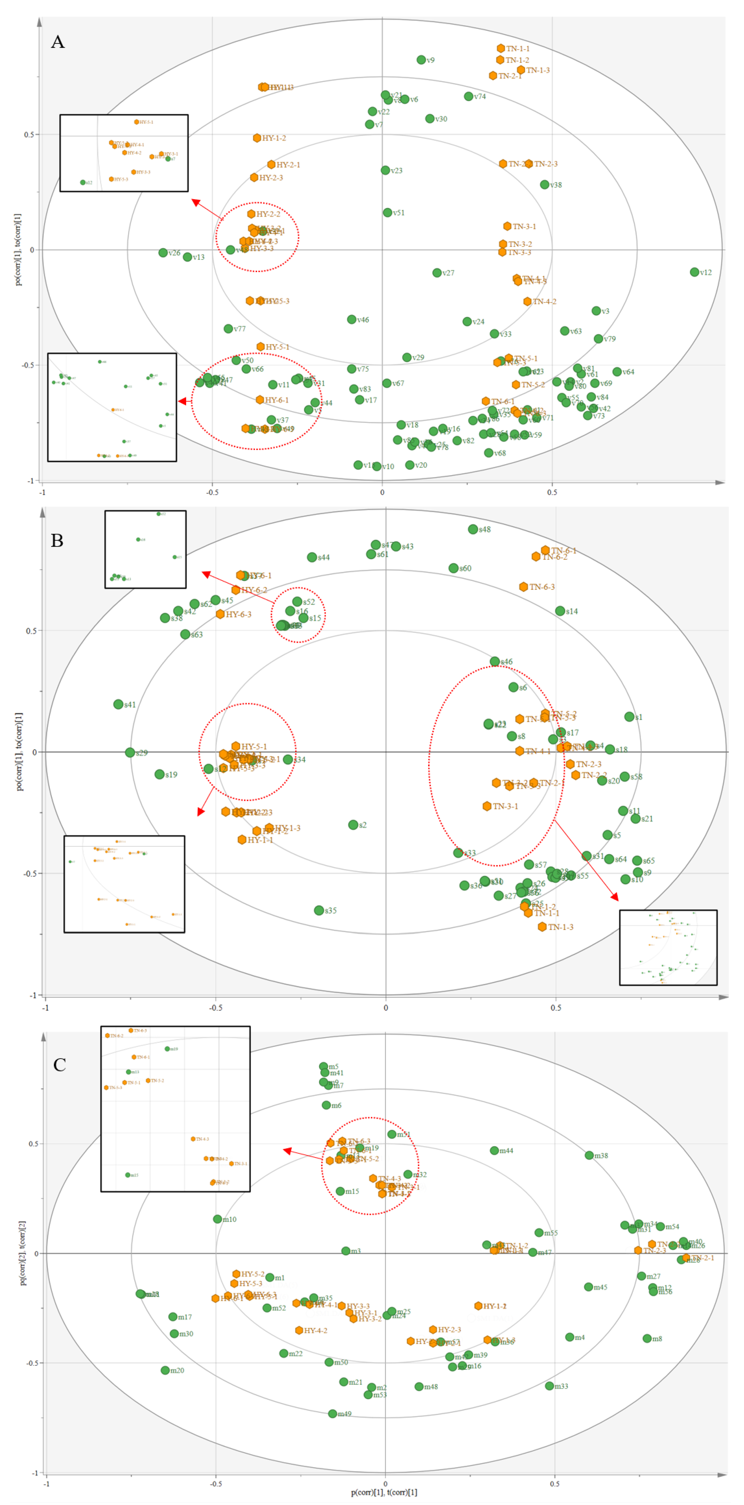 Molecules 28 03693 g005 Molecules 28 03693 g005