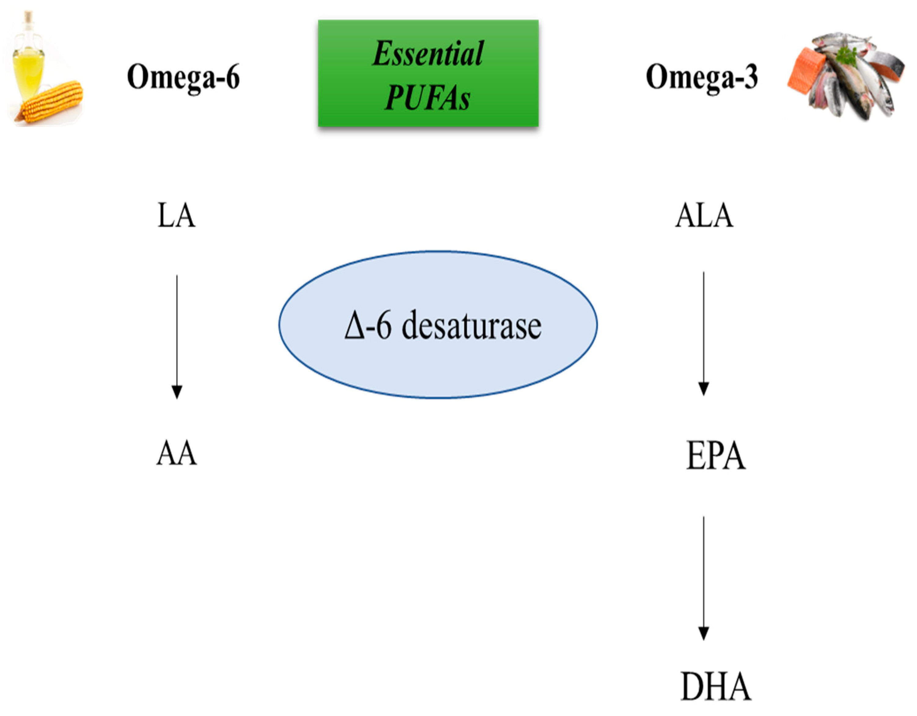Molecules 28 03694 g001