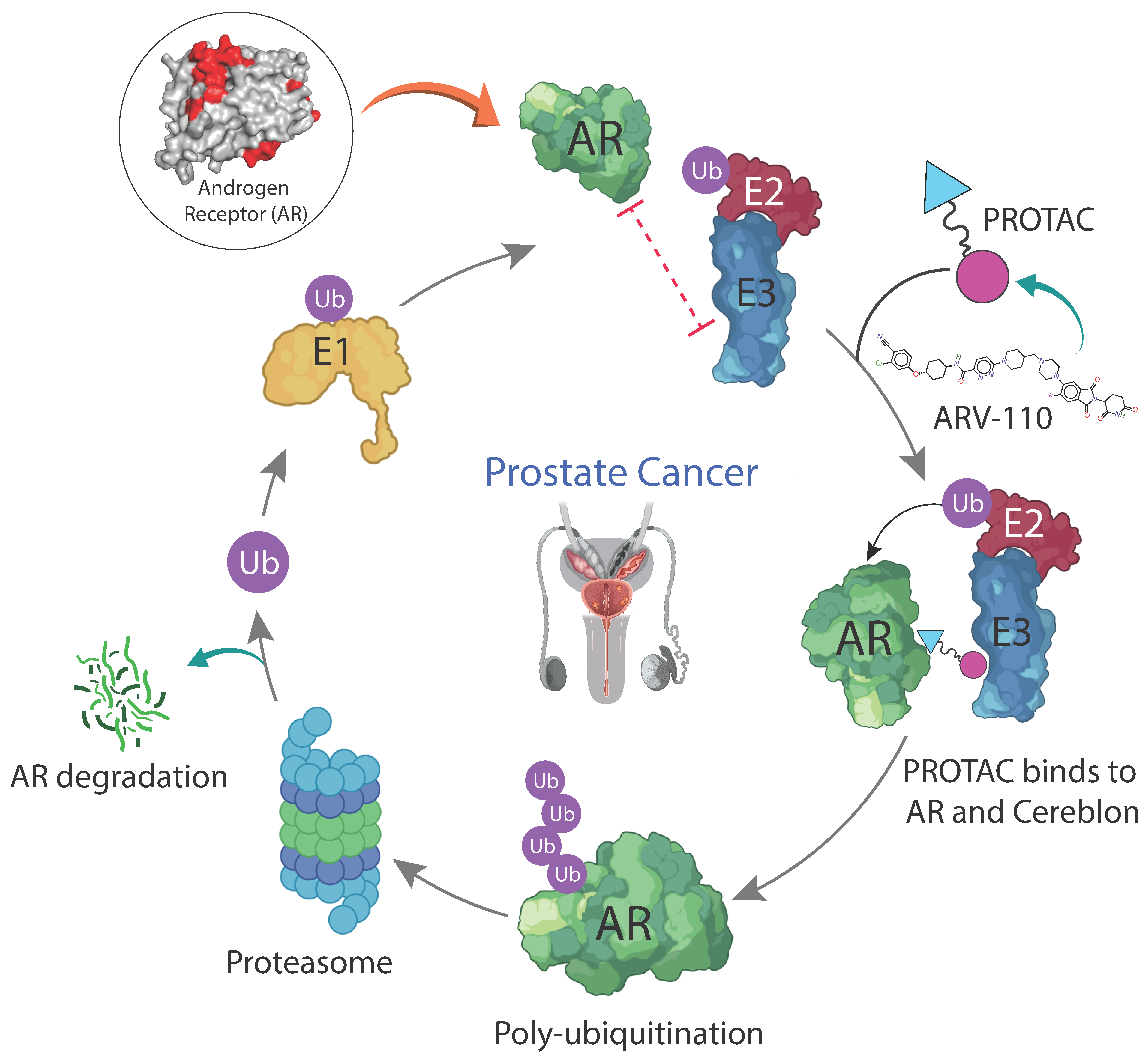 Molecules 28 03698 g002