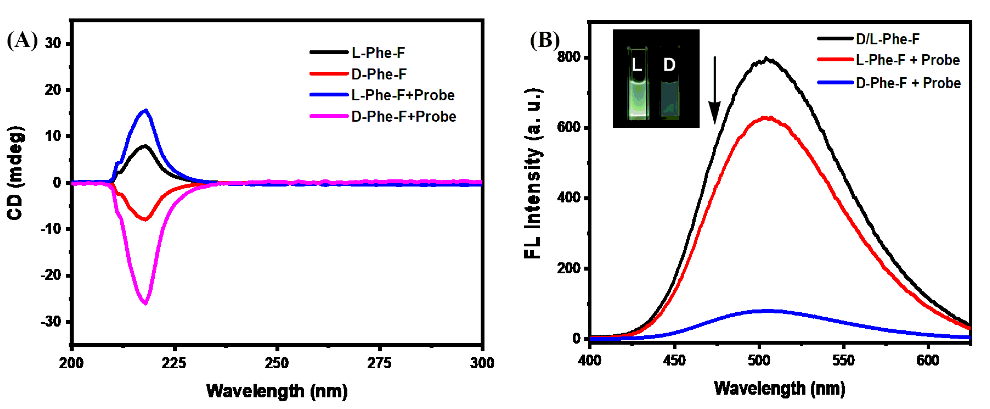 Molecules 28 03700 g001