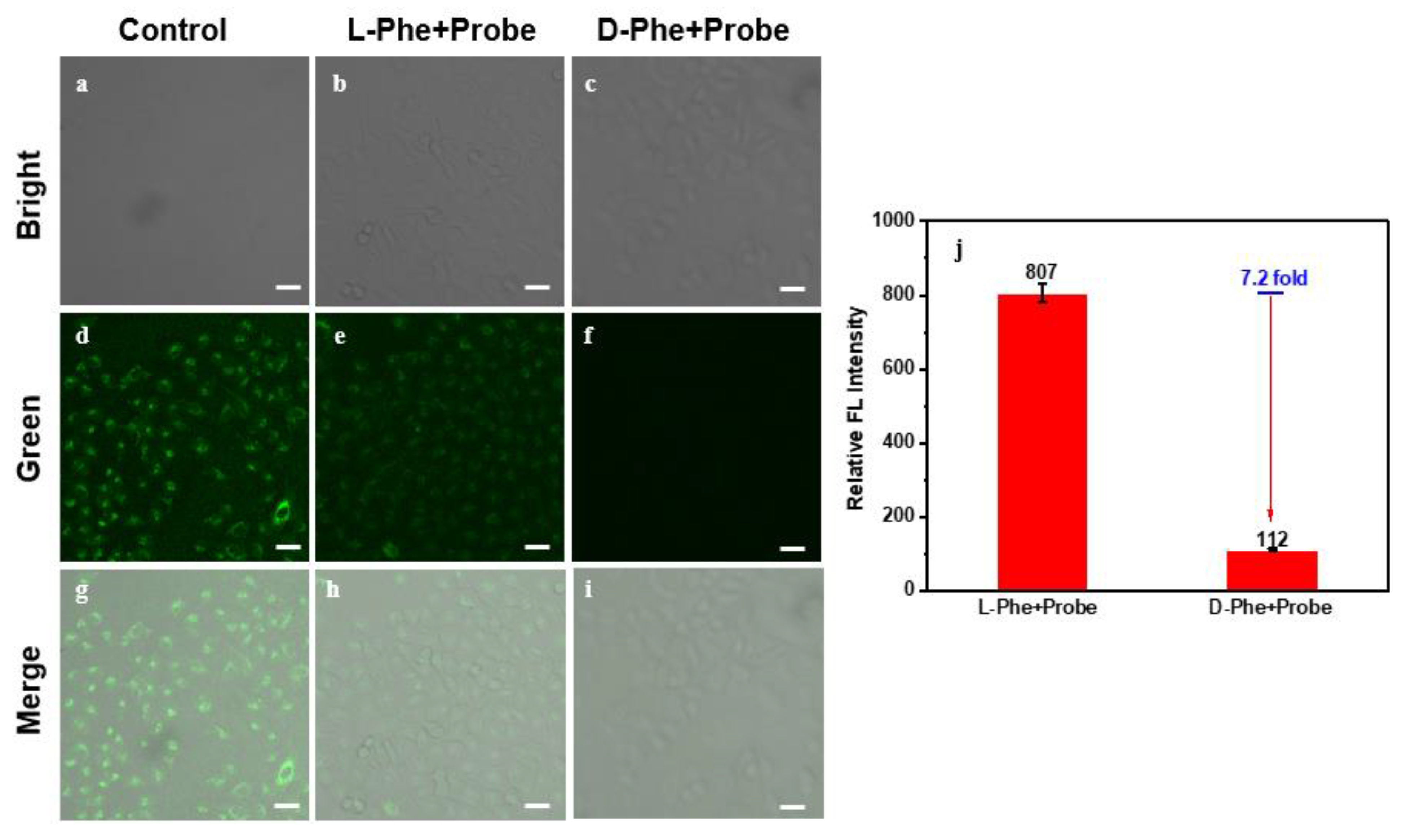 Molecules 28 03700 g004