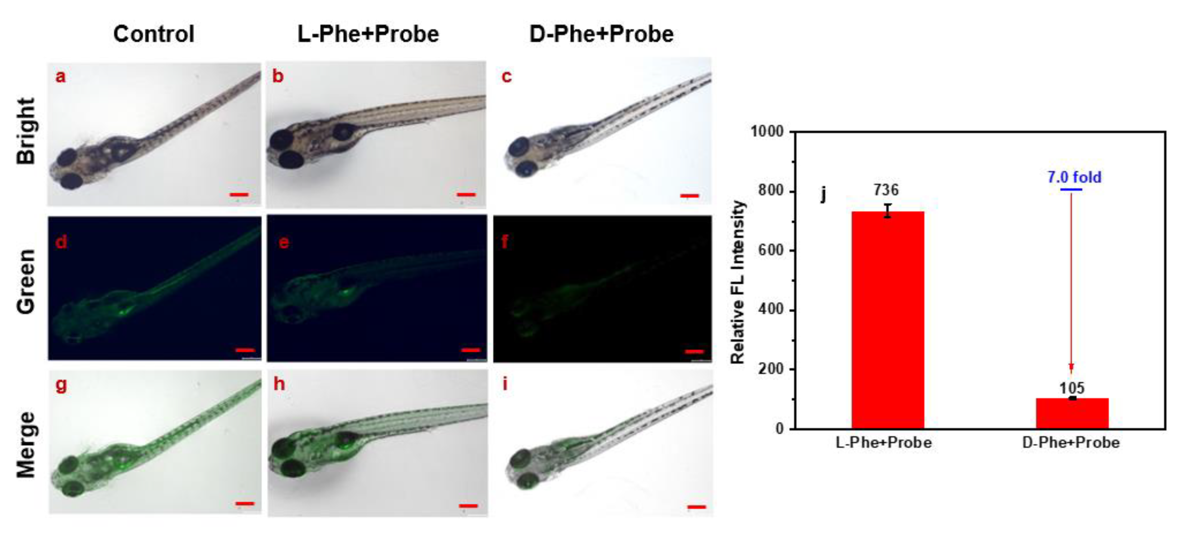 Molecules 28 03700 g005