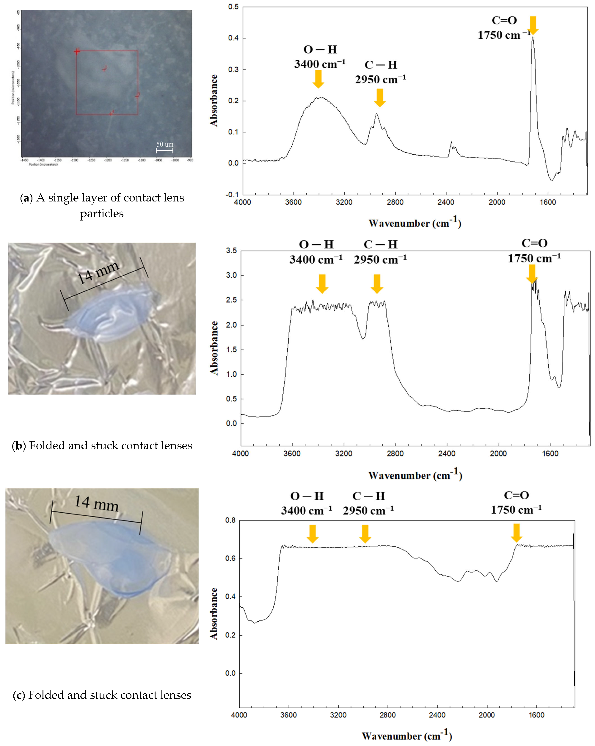 Molecules 28 03713 g003 Molecules 28 03713 g003