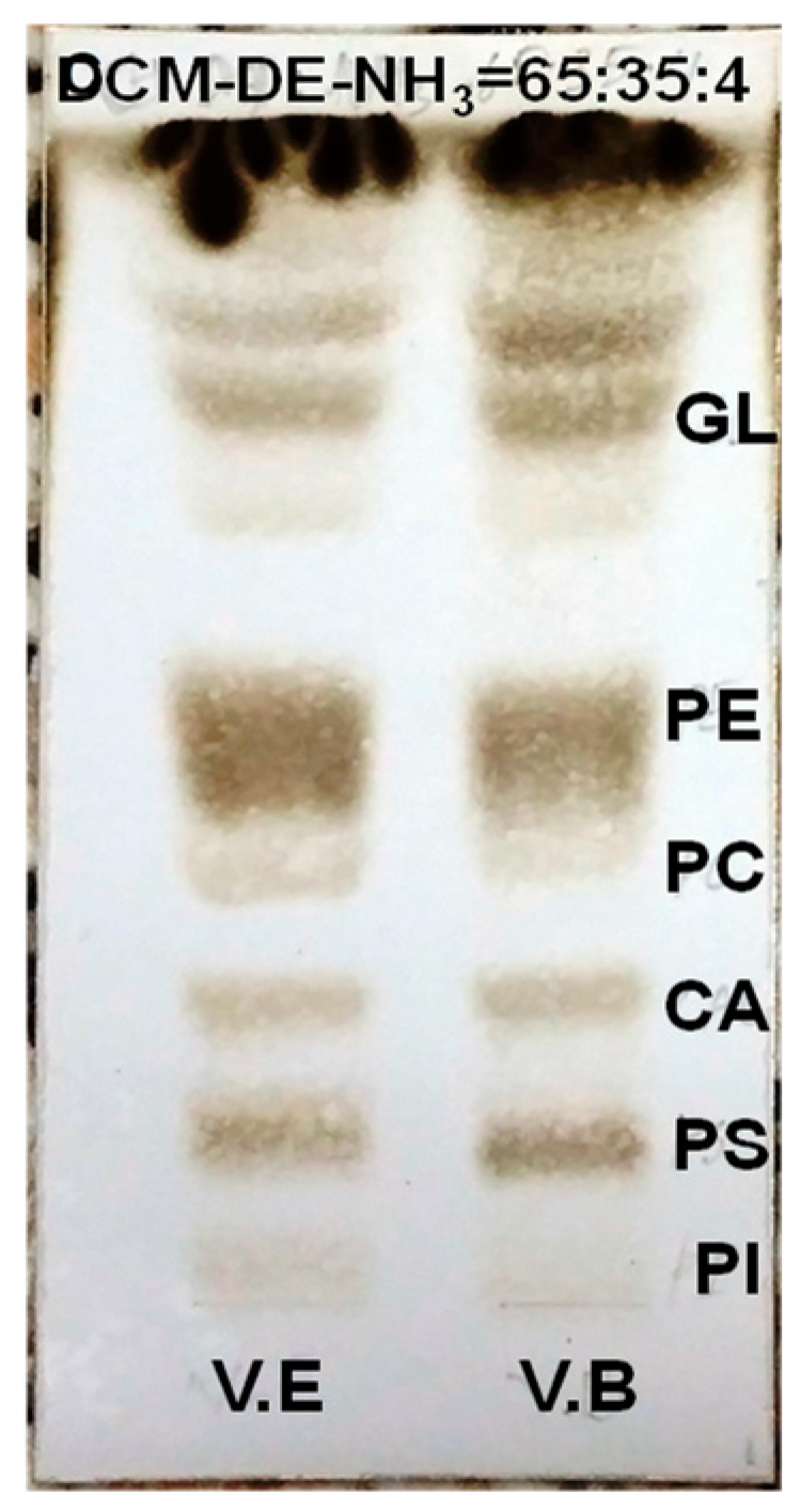 Molecules 28 03721 g001