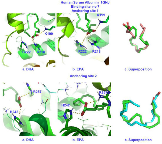 Molecular Basis for the Selectivity of DHA and EPA in Sudlow’s Drug ...