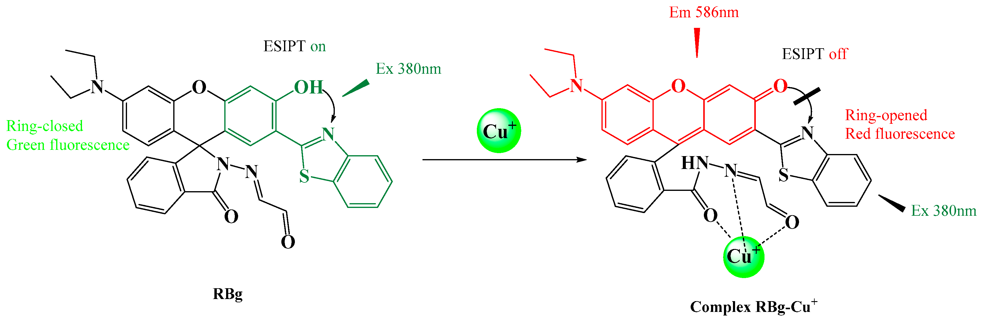 Molecules 28 03725 g006