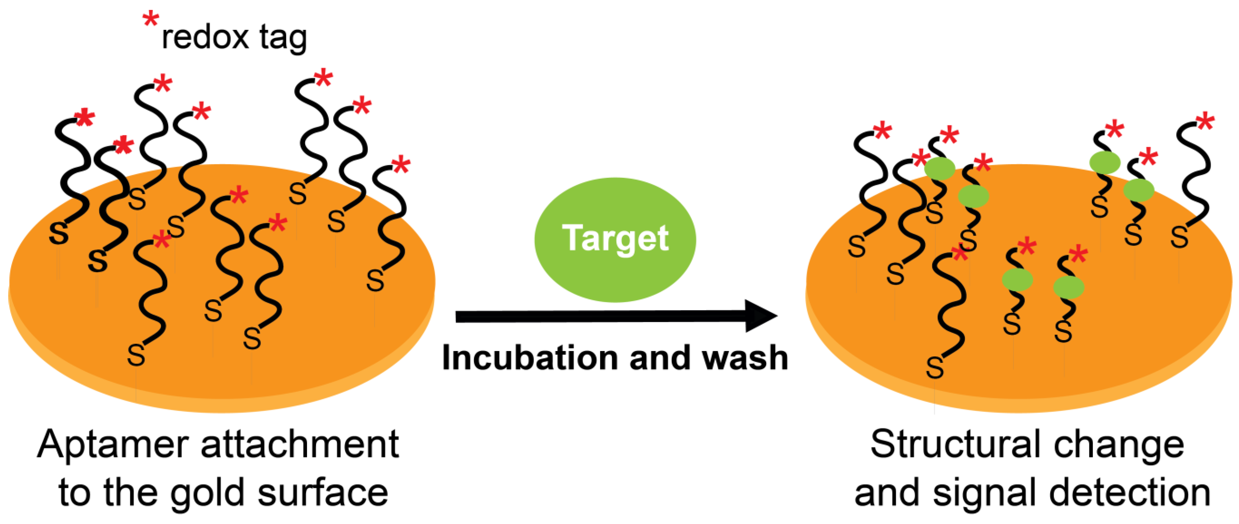 Molecules 28 03728 g005 Molecules 28 03728 g005