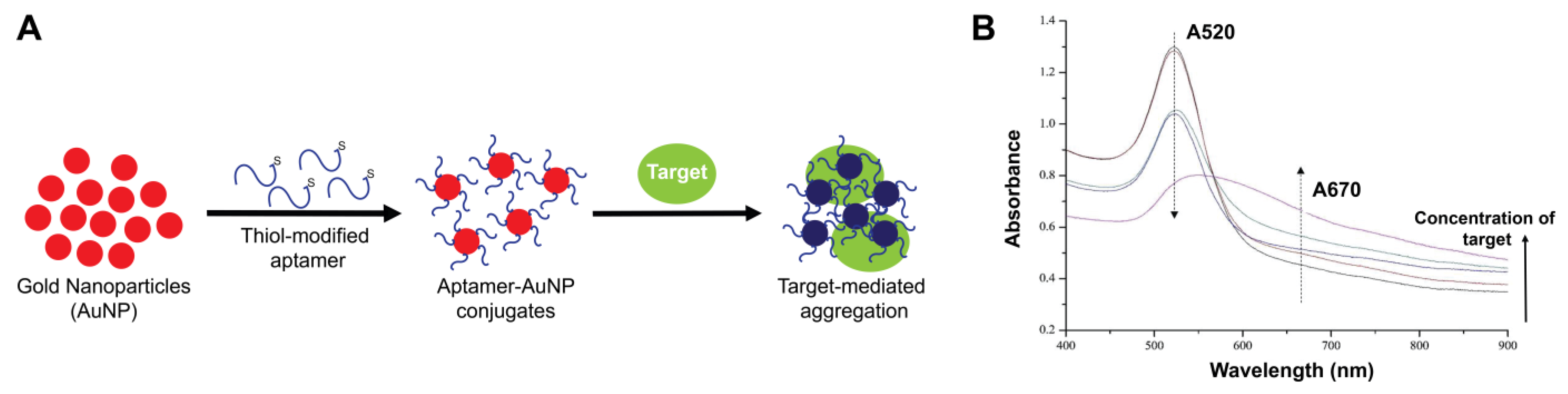 Molecules 28 03728 g007 Molecules 28 03728 g007
