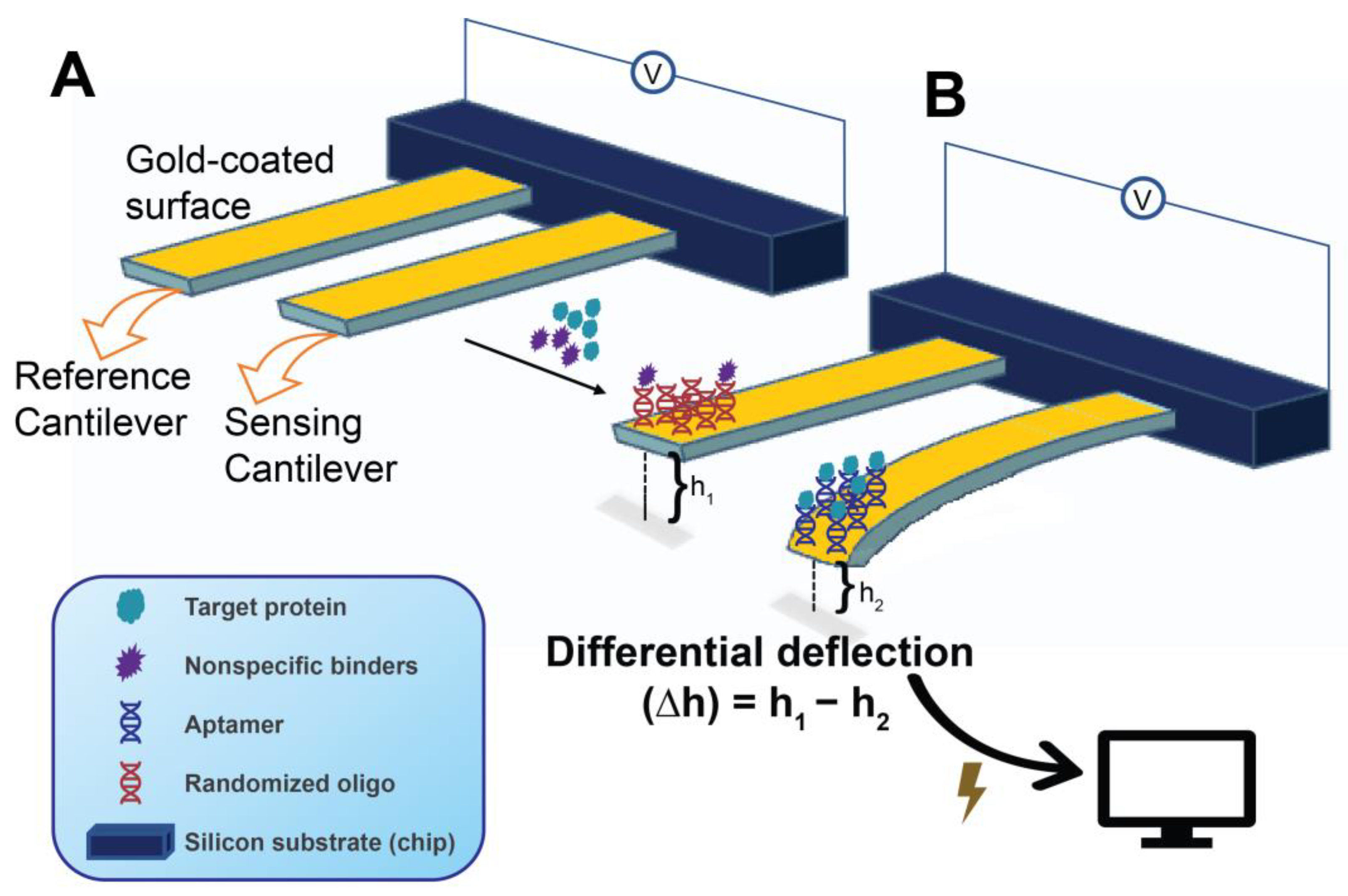 Molecules 28 03728 g008 Molecules 28 03728 g008