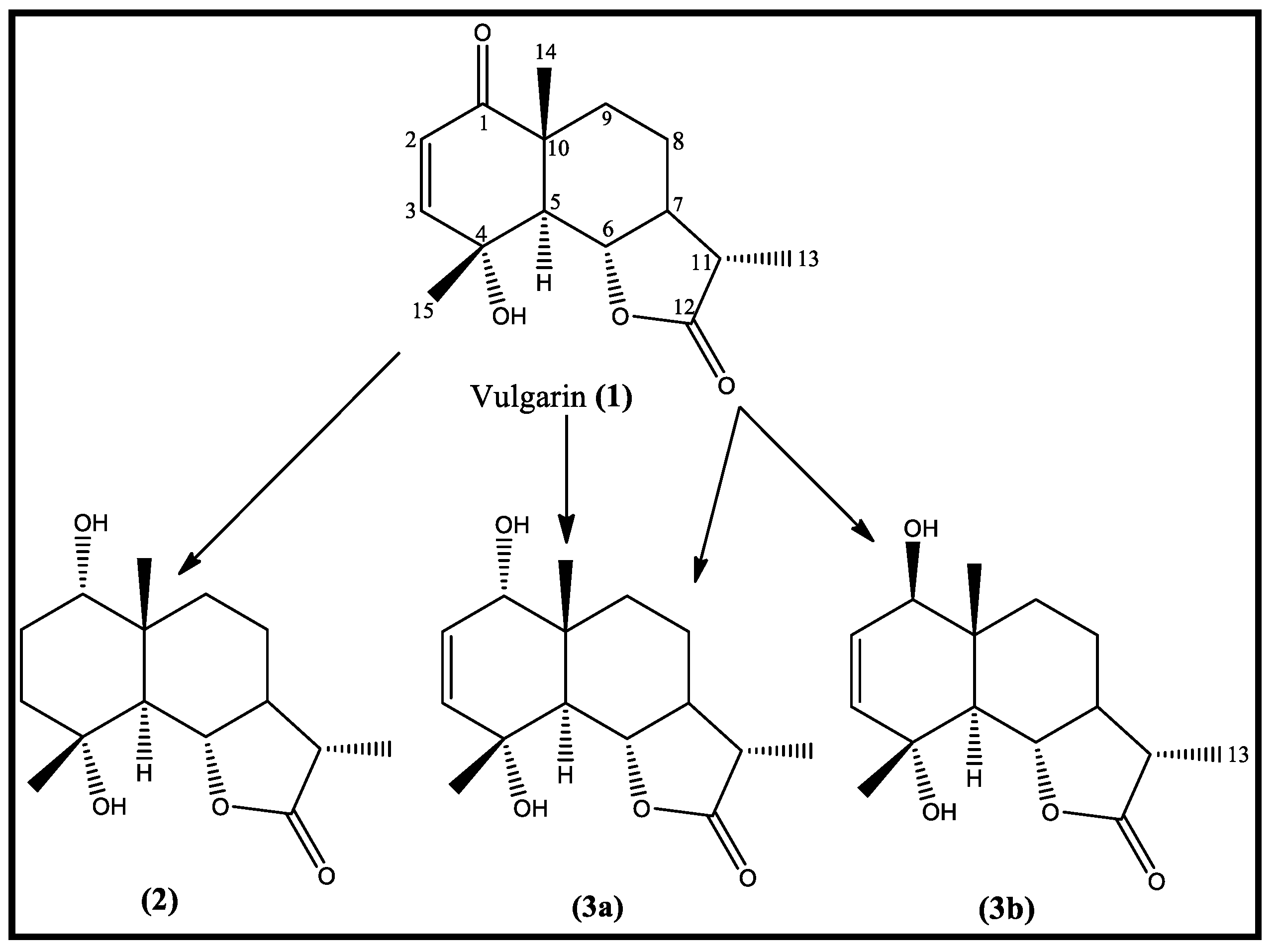 Molecules 28 03729 g001