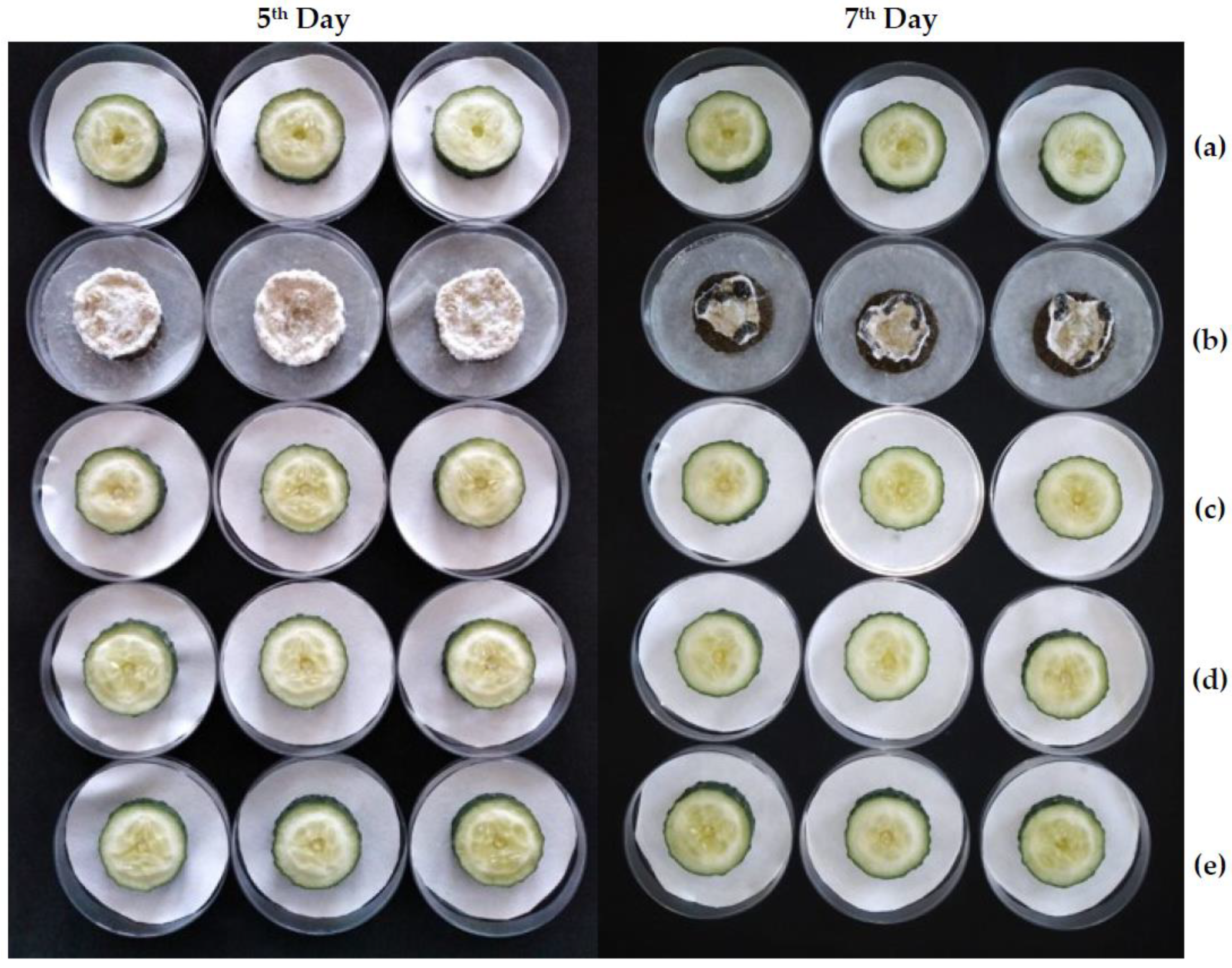 Molecules 28 03730 g004
