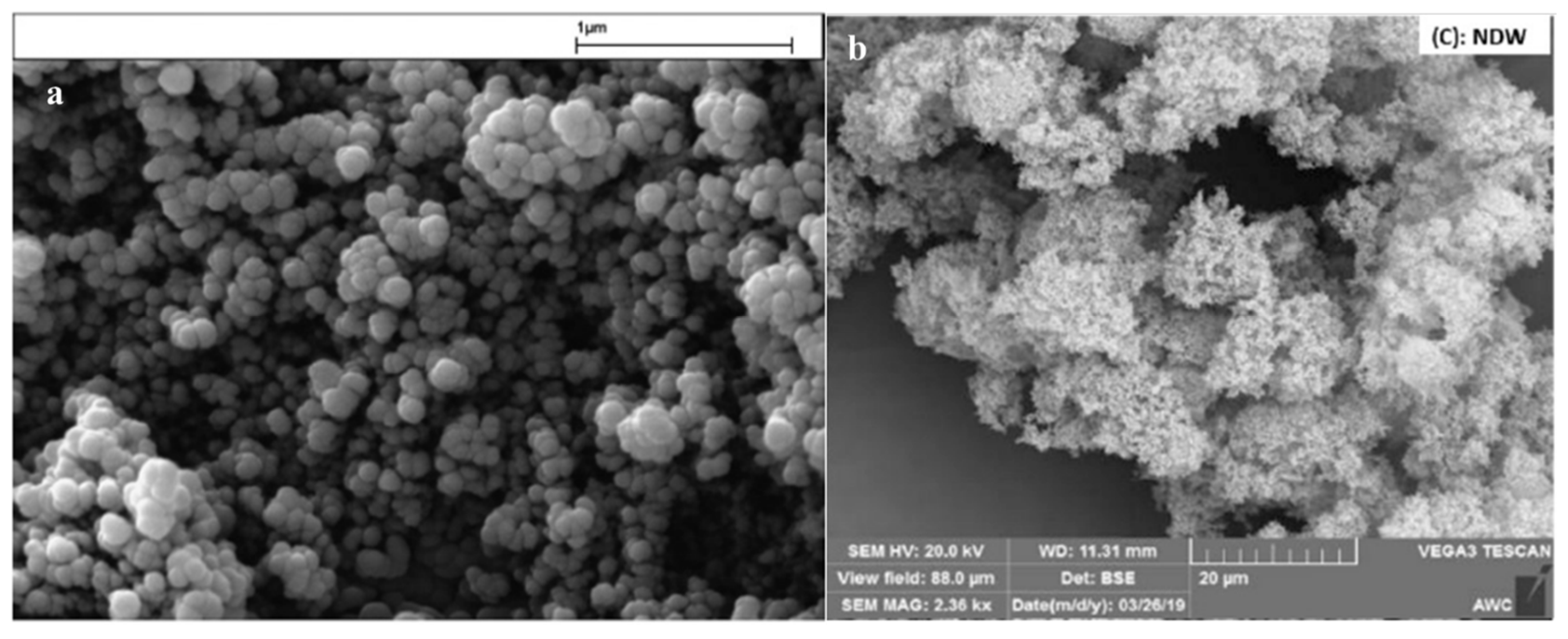 Molecules 28 03731 g002