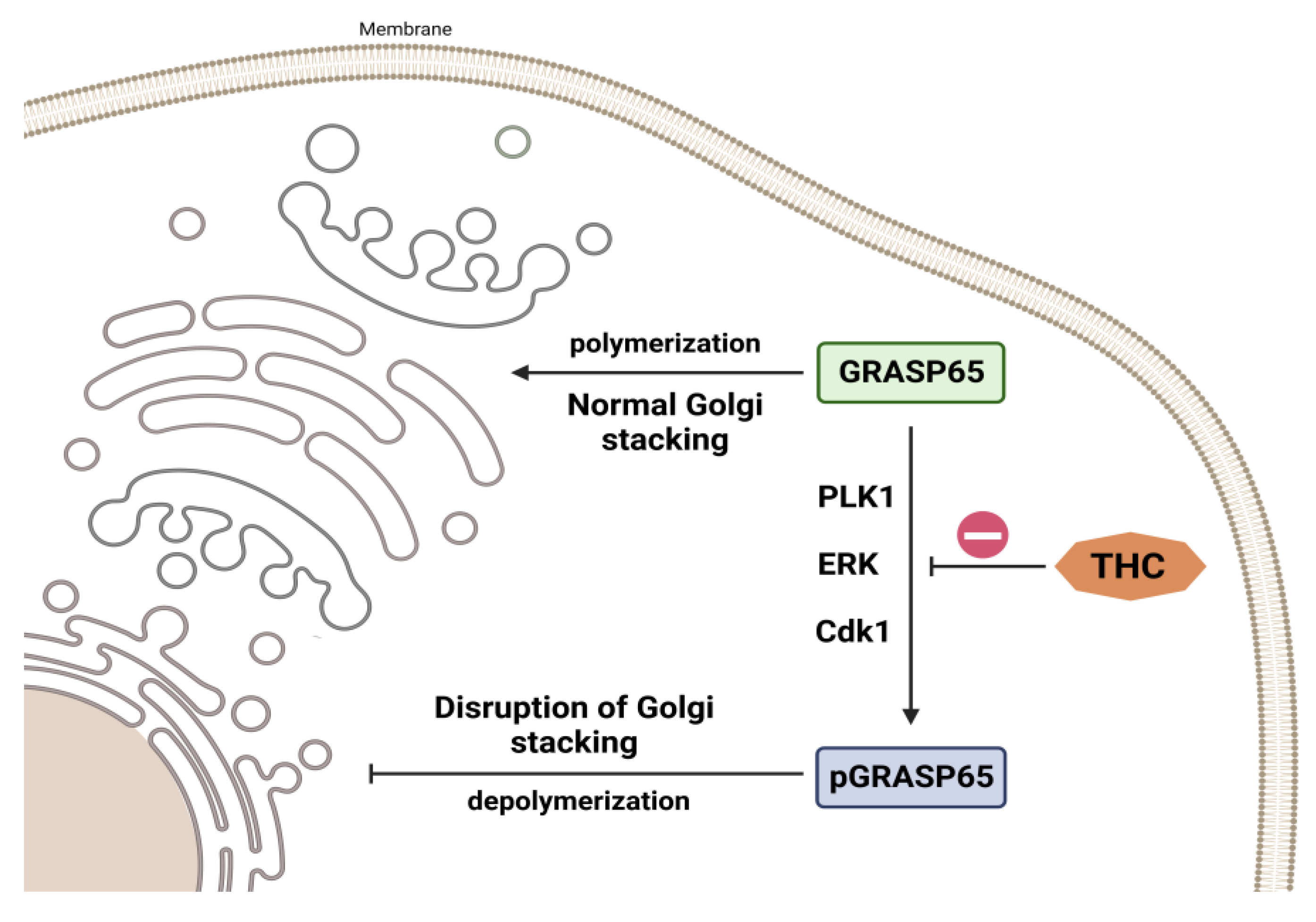 Molecules 28 03734 g006 Molecules 28 03734 g006
