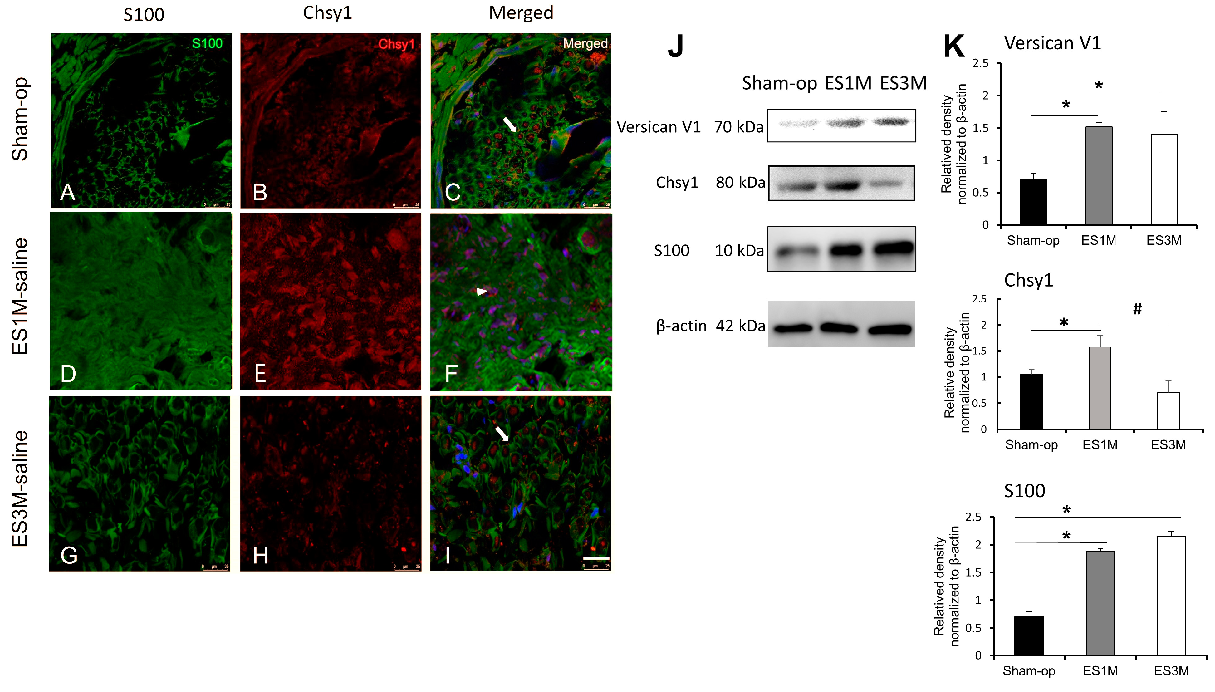Molecules 28 03742 g001 Molecules 28 03742 g001