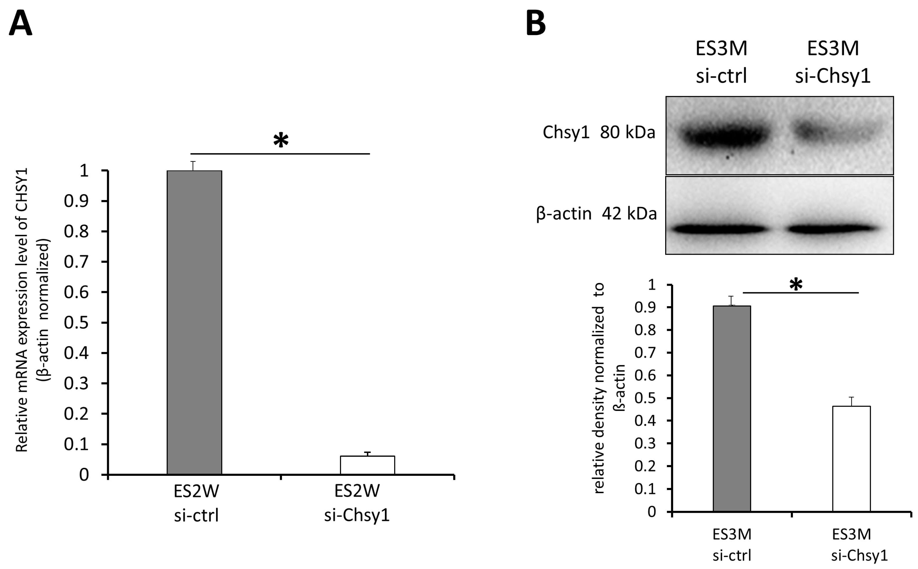 Molecules 28 03742 g002 Molecules 28 03742 g002