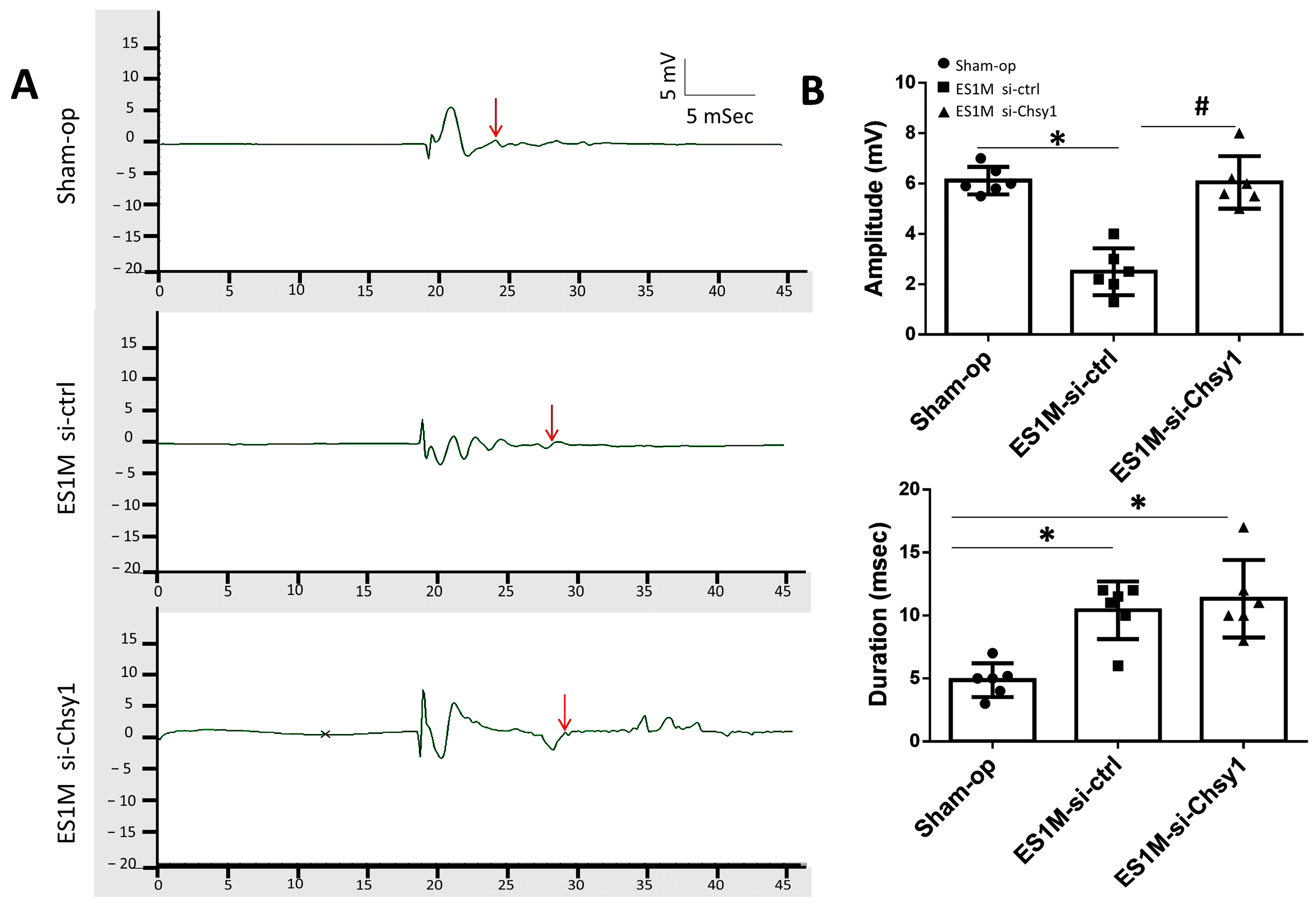Molecules 28 03742 g003 Molecules 28 03742 g003