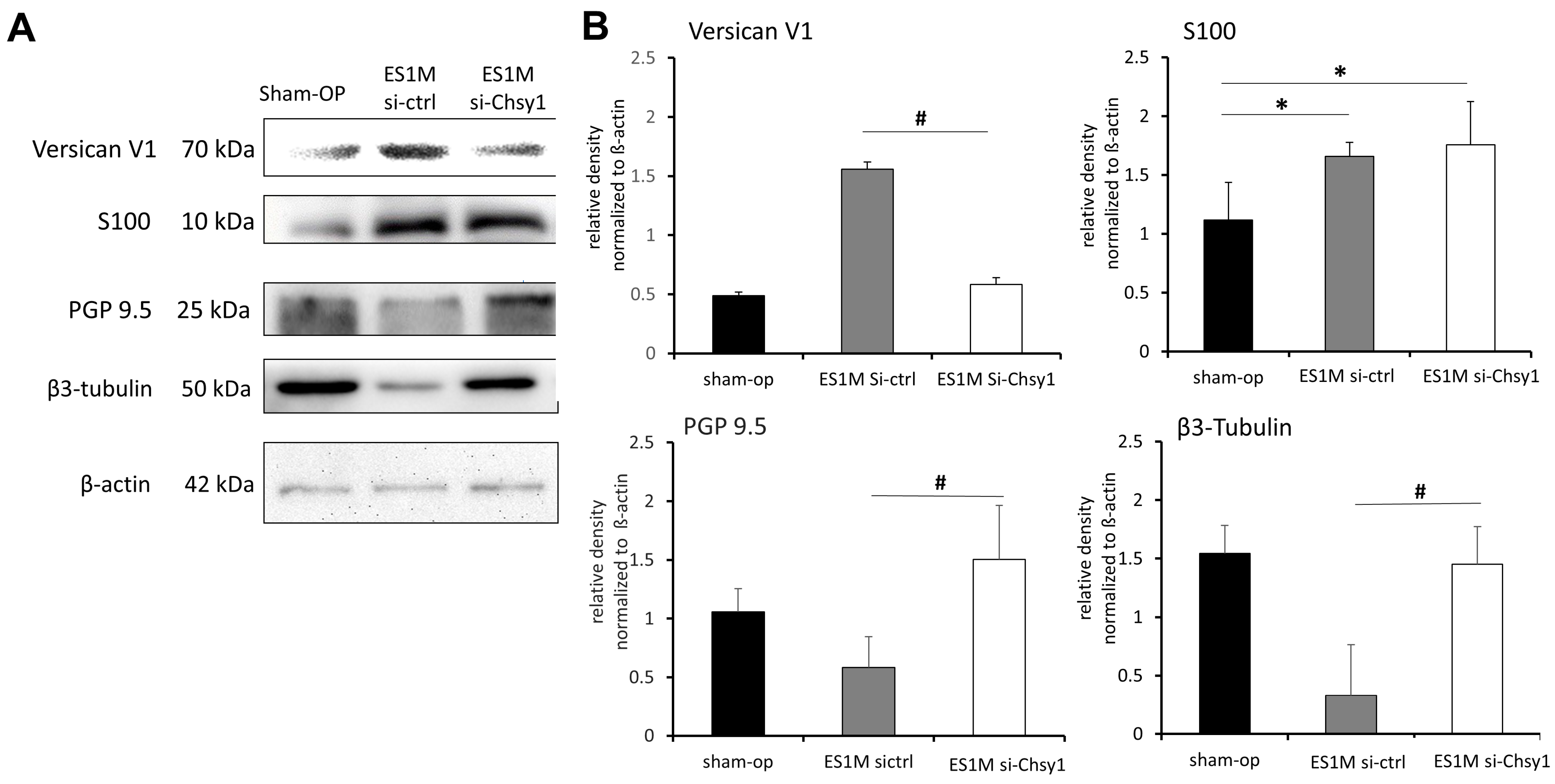 Molecules 28 03742 g004 Molecules 28 03742 g004