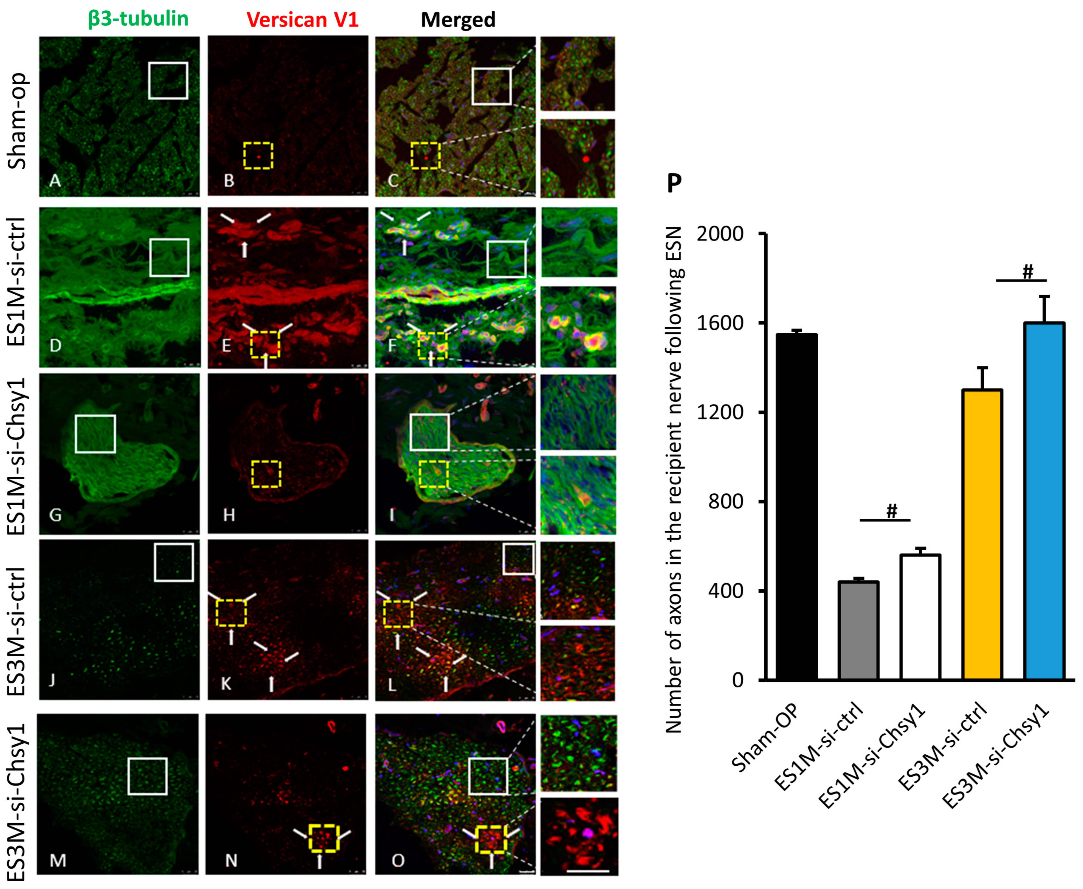 Molecules 28 03742 g005 Molecules 28 03742 g005