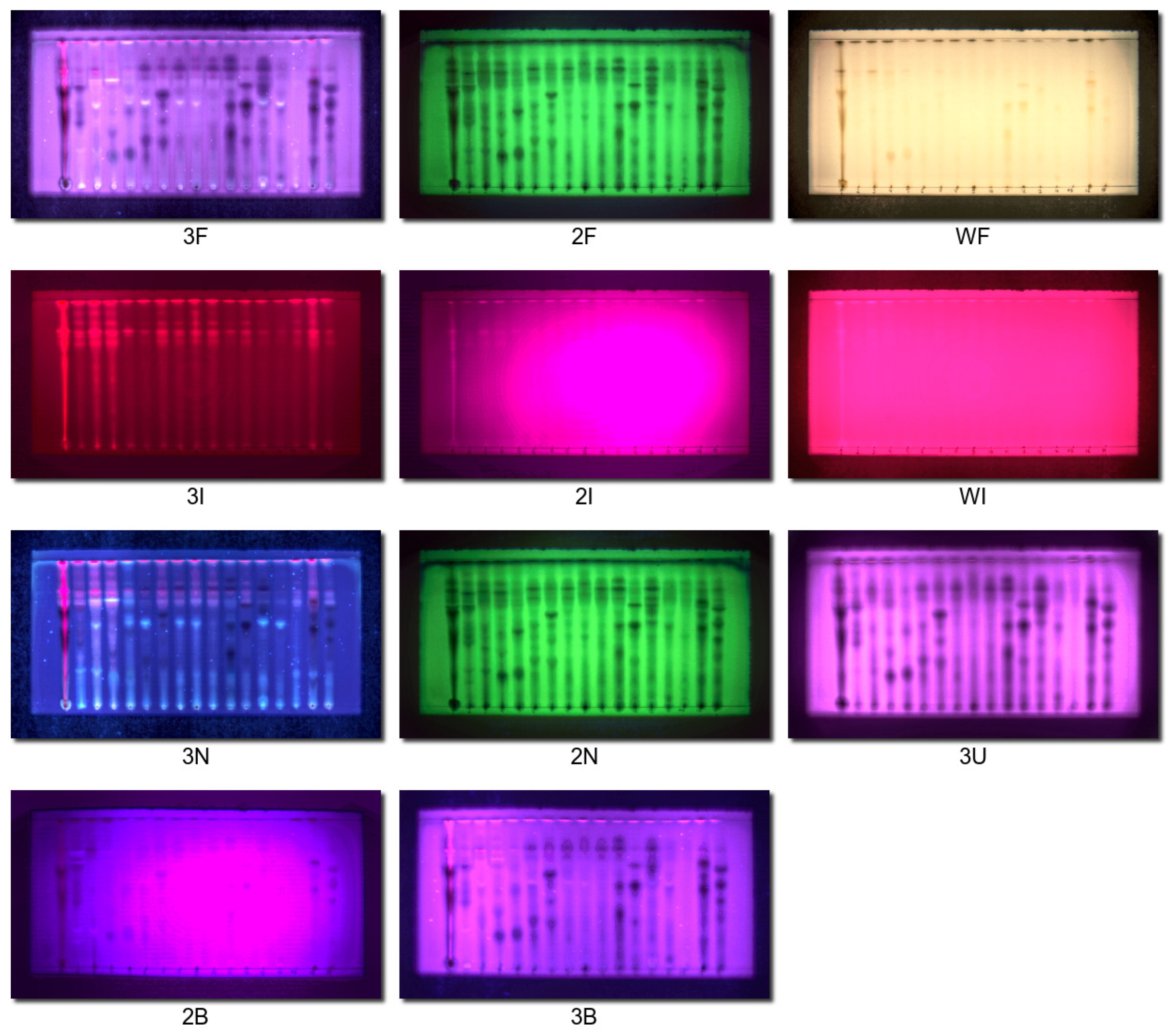 Molecules 28 03745 g001 Molecules 28 03745 g001