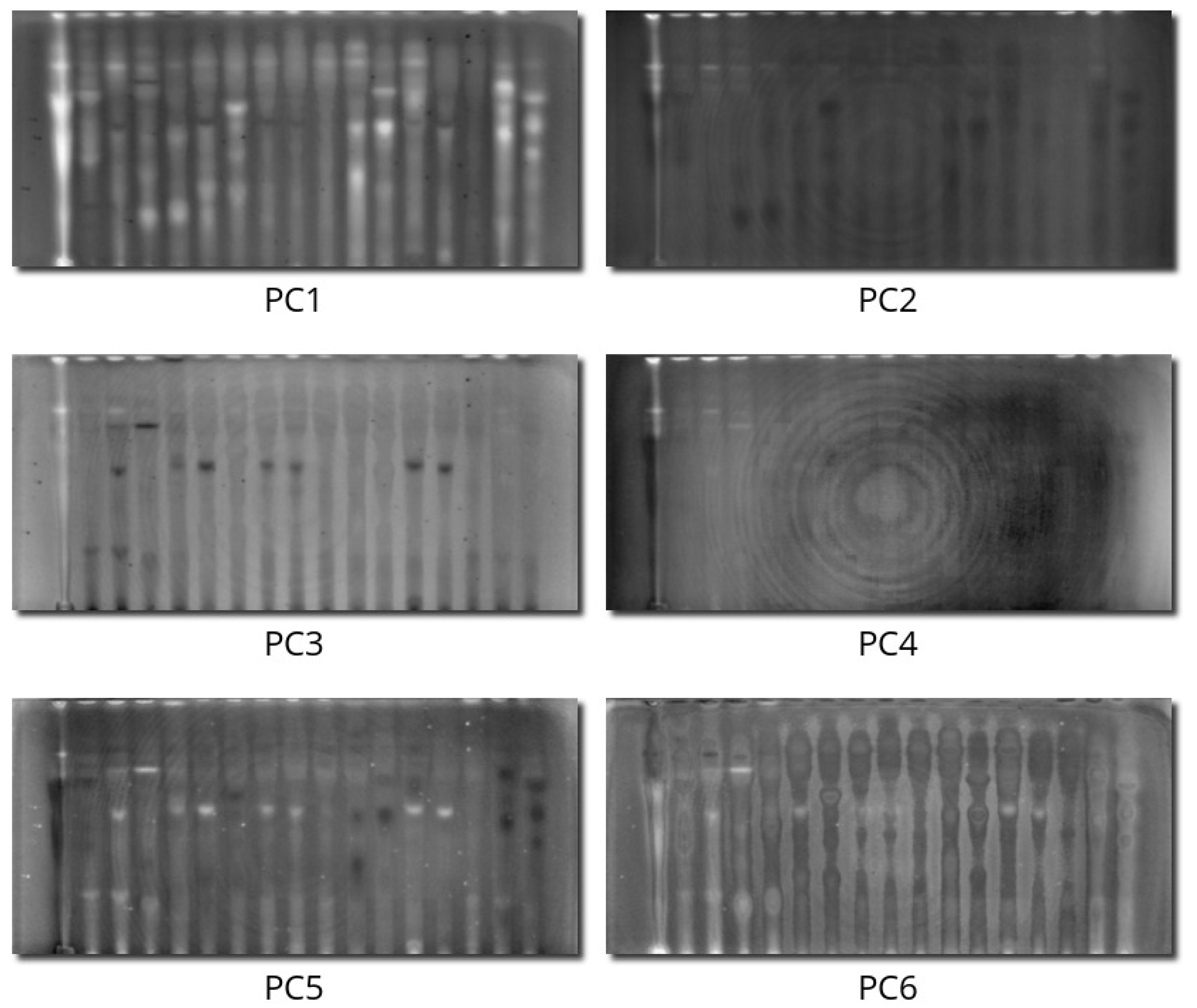 Molecules 28 03745 g003 Molecules 28 03745 g003
