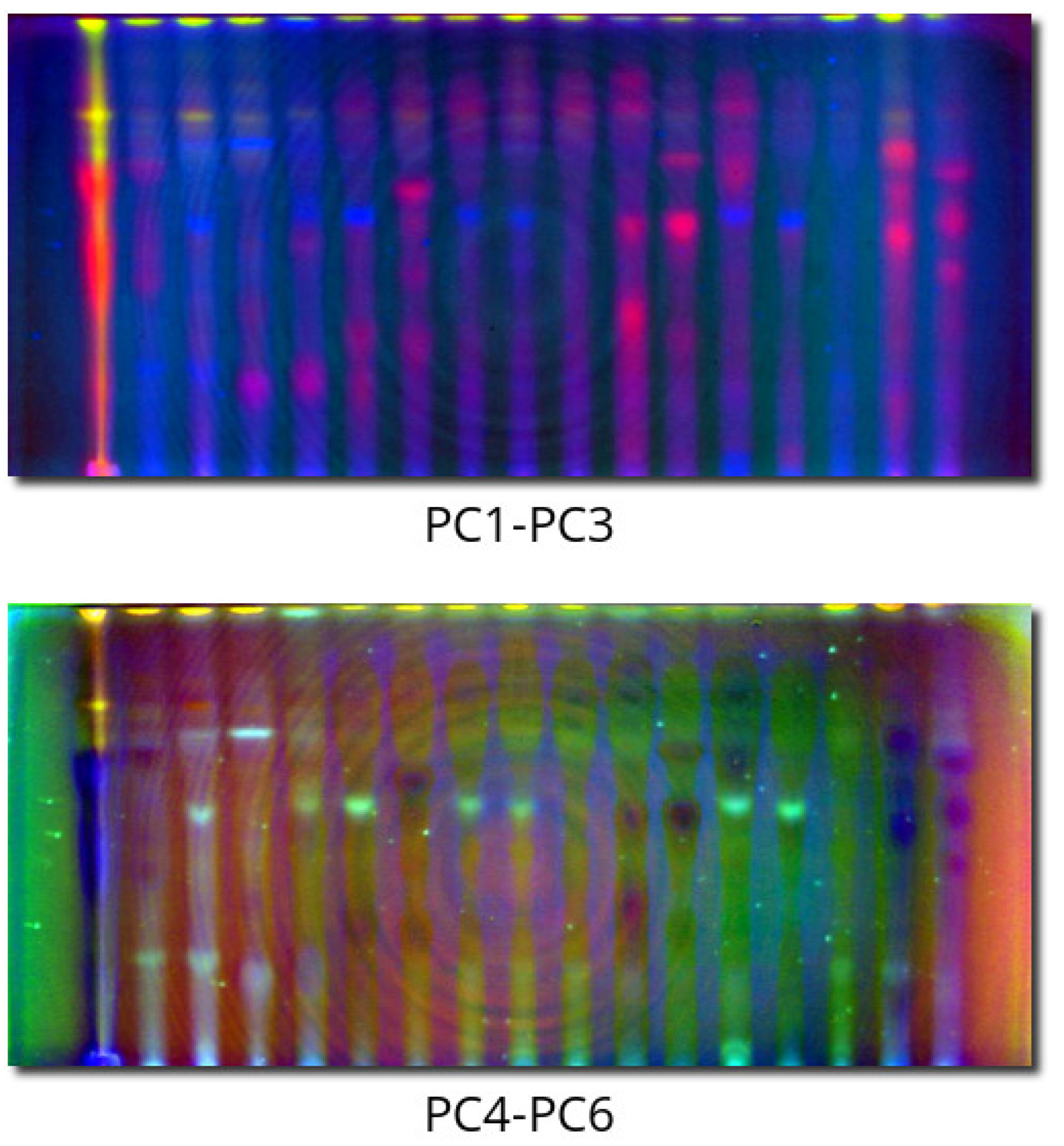 Molecules 28 03745 g004 Molecules 28 03745 g004