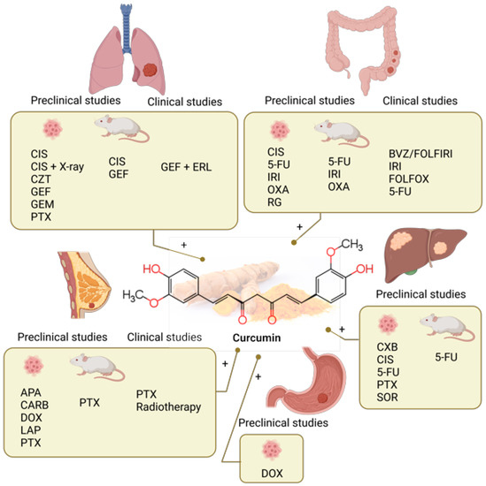 Combination Chemotherapy with Selected Polyphenols in Preclinical and ...
