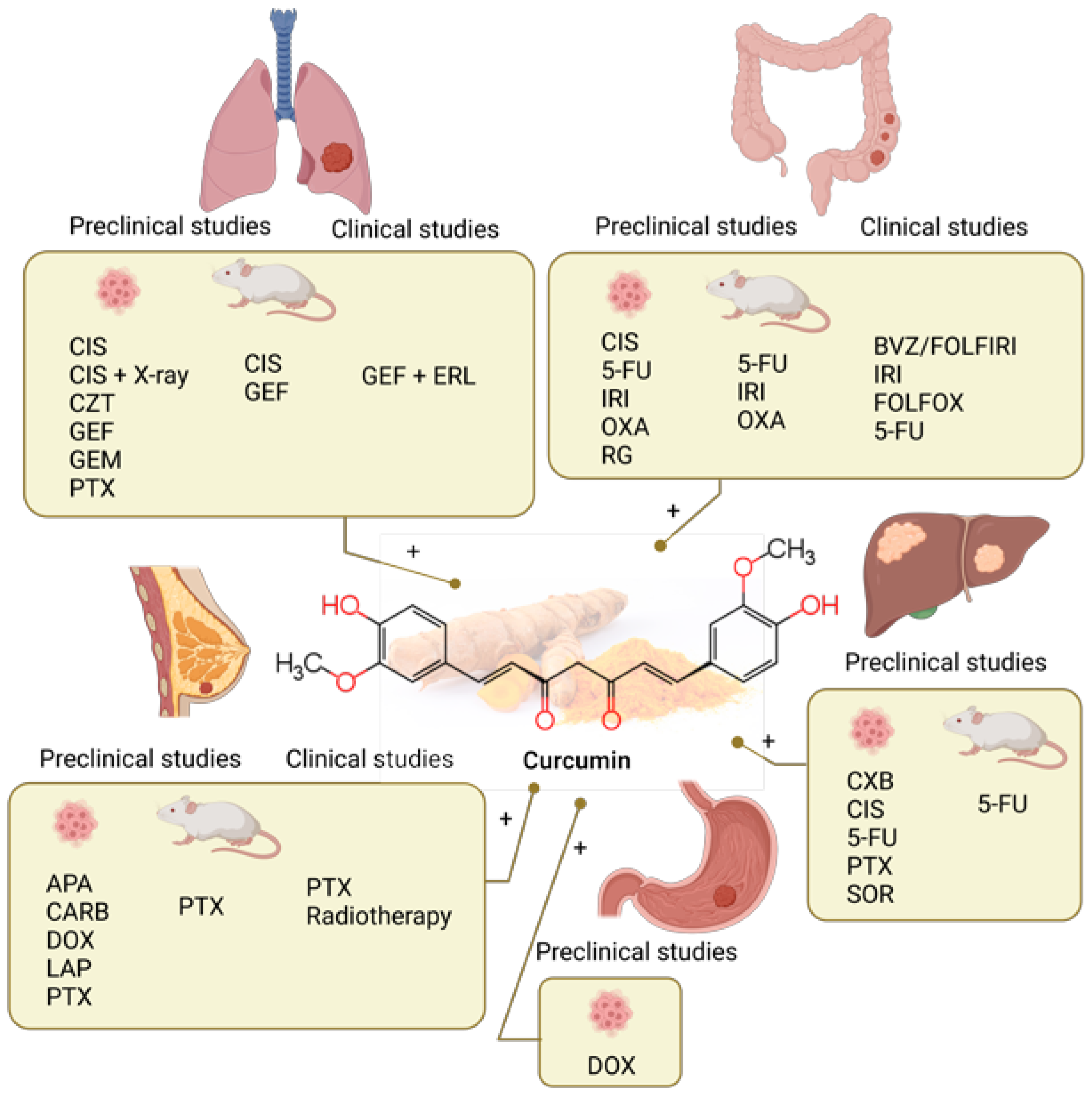 Molecules 28 03746 g001