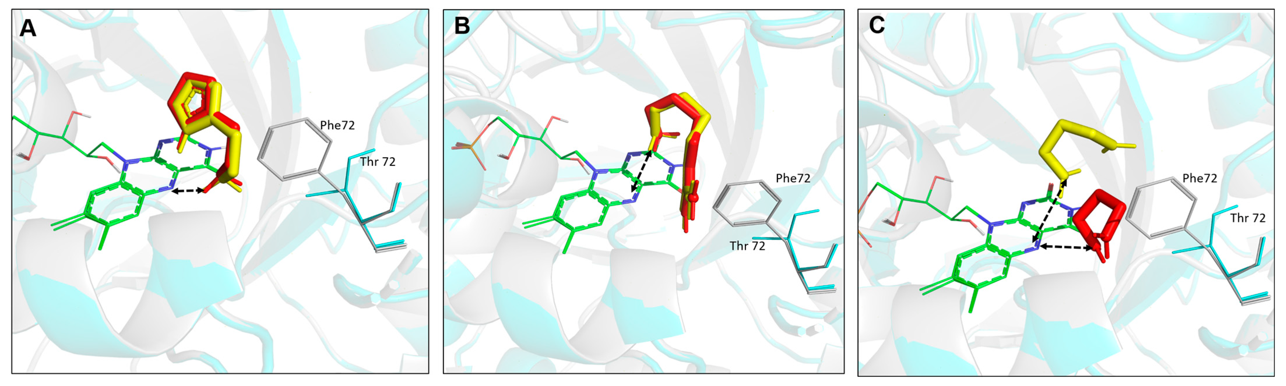 Molecules 28 03748 g007