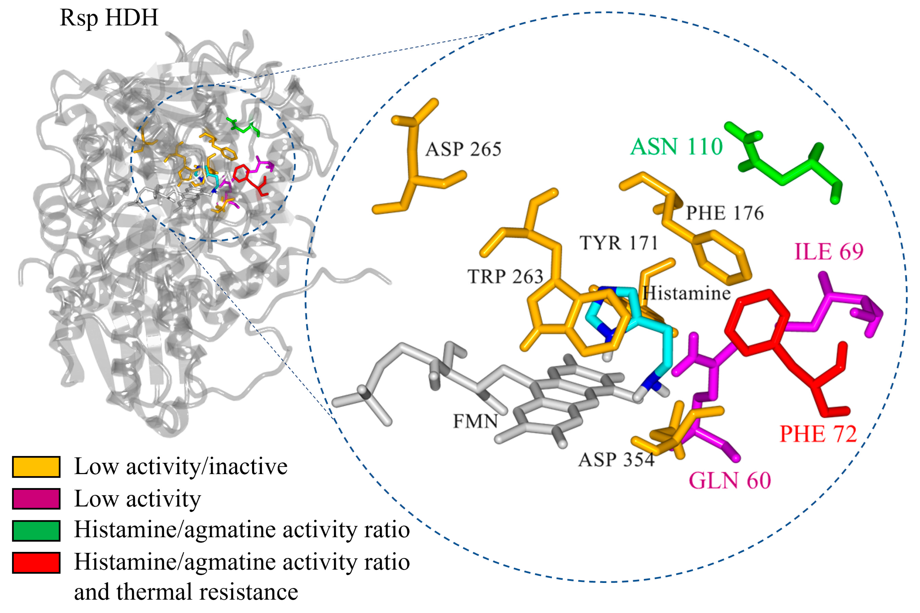 Molecules 28 03748 g008