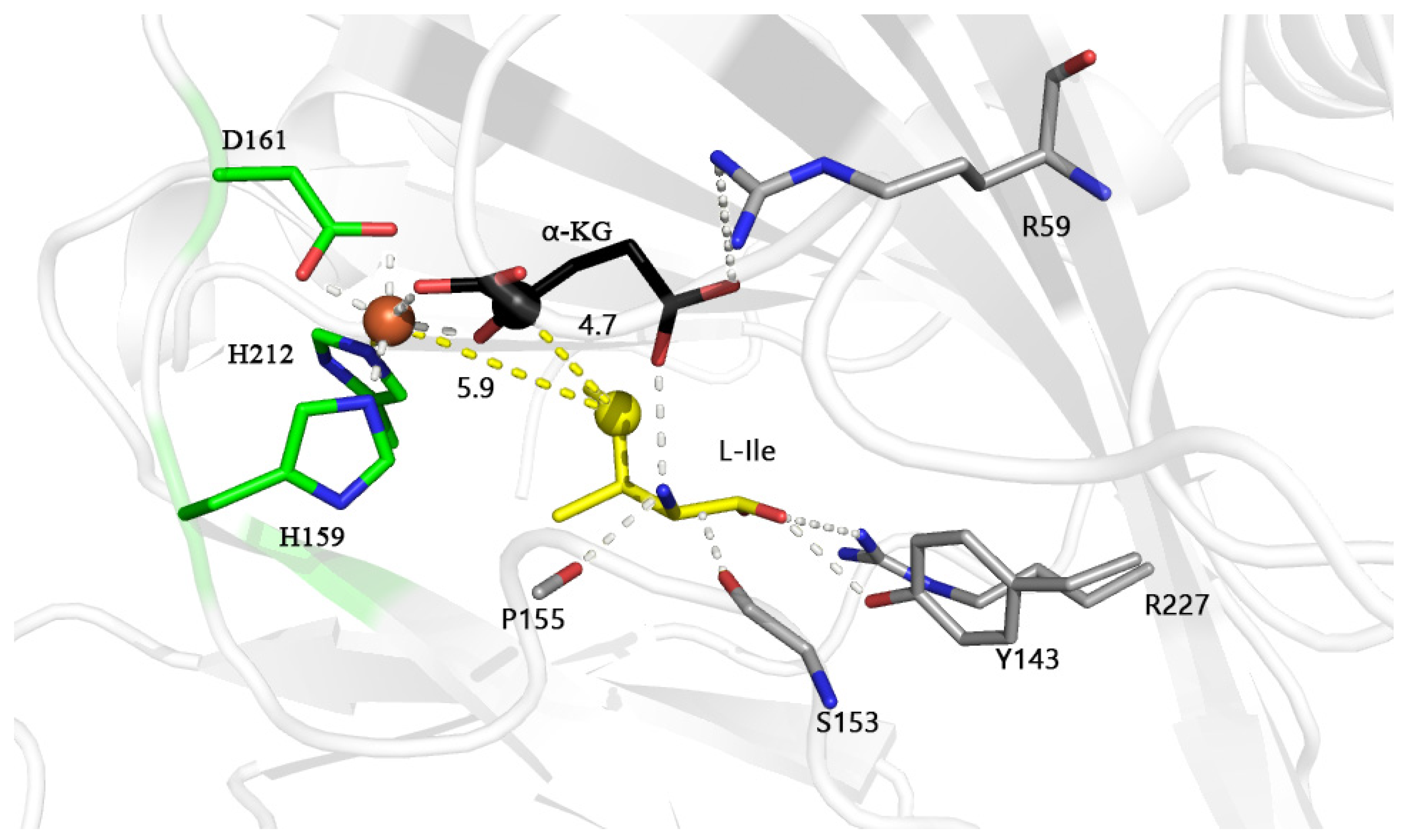 Molecules 28 03750 g001