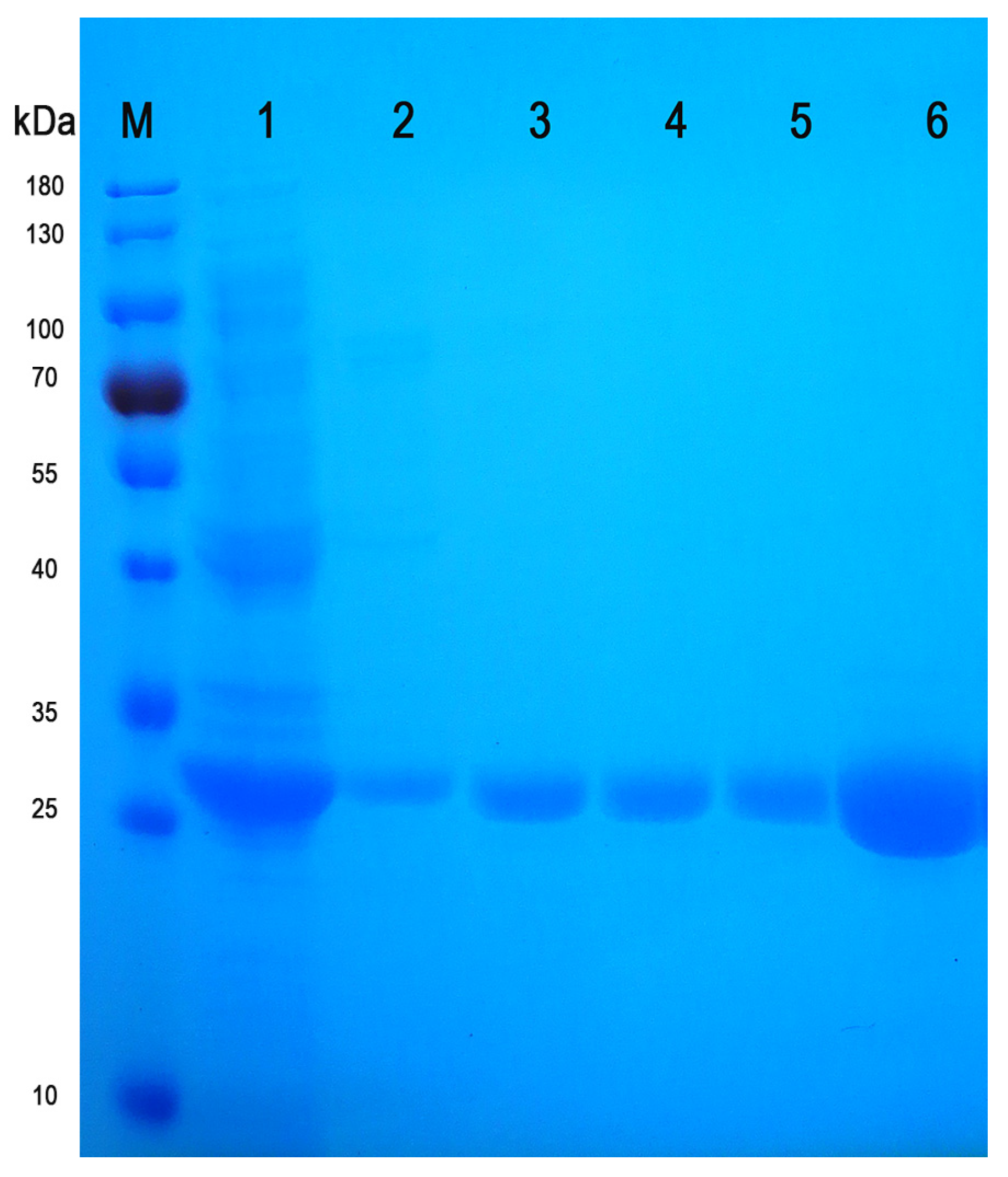Molecules 28 03750 g005