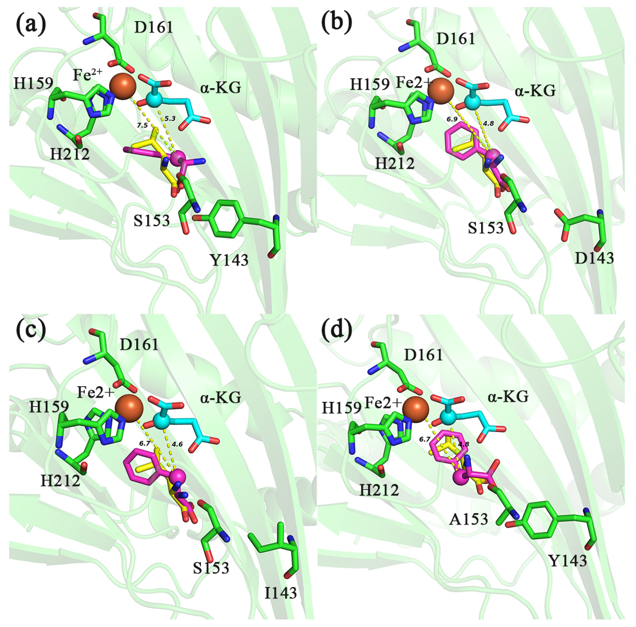 Molecules 28 03750 g006