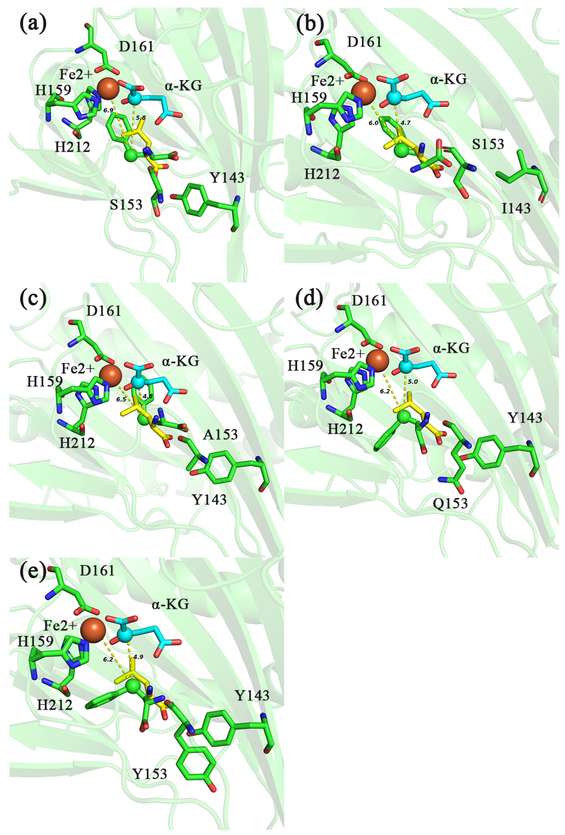 Molecules 28 03750 g007