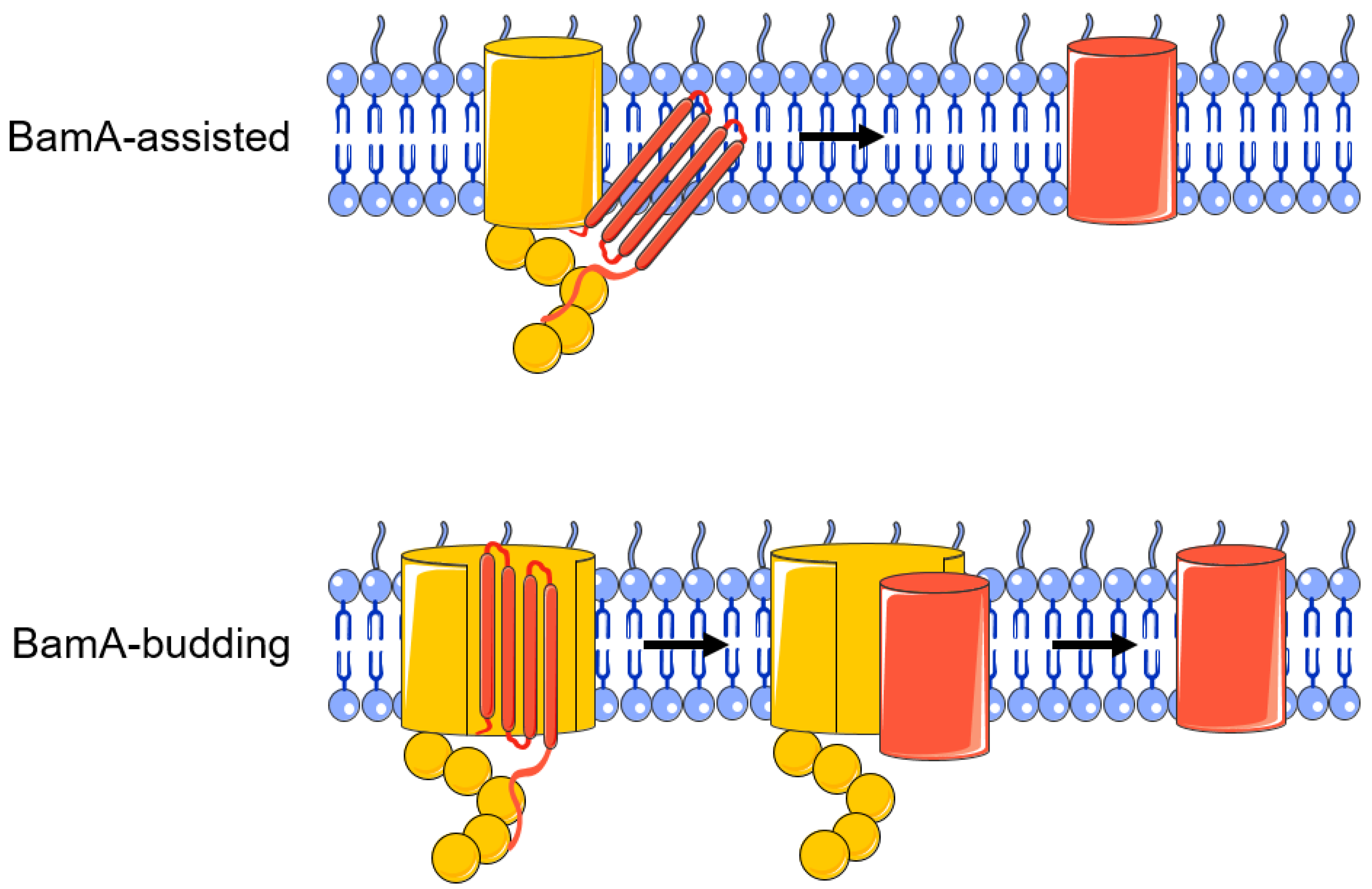 Molecules 28 03758 g003 Molecules 28 03758 g003